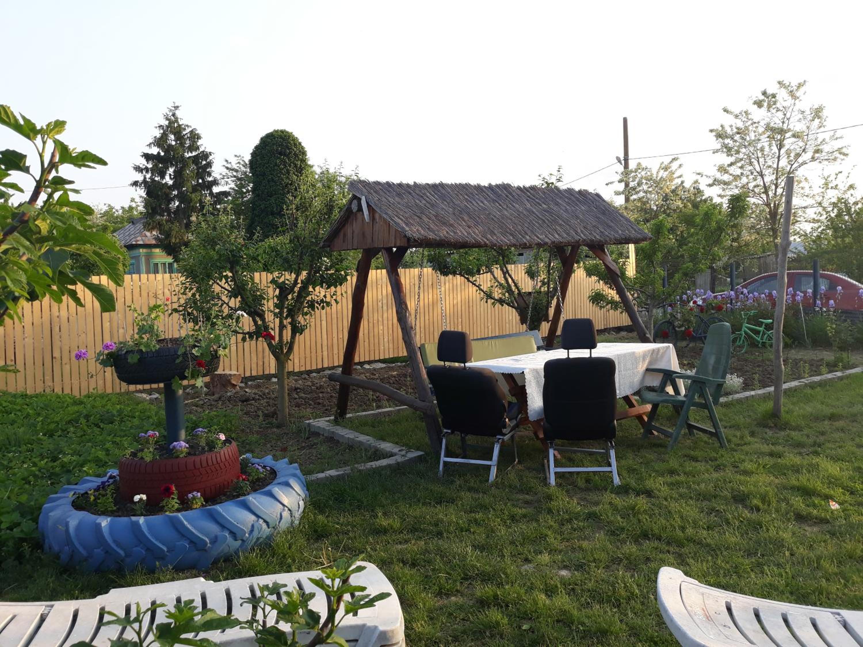 Photo 11