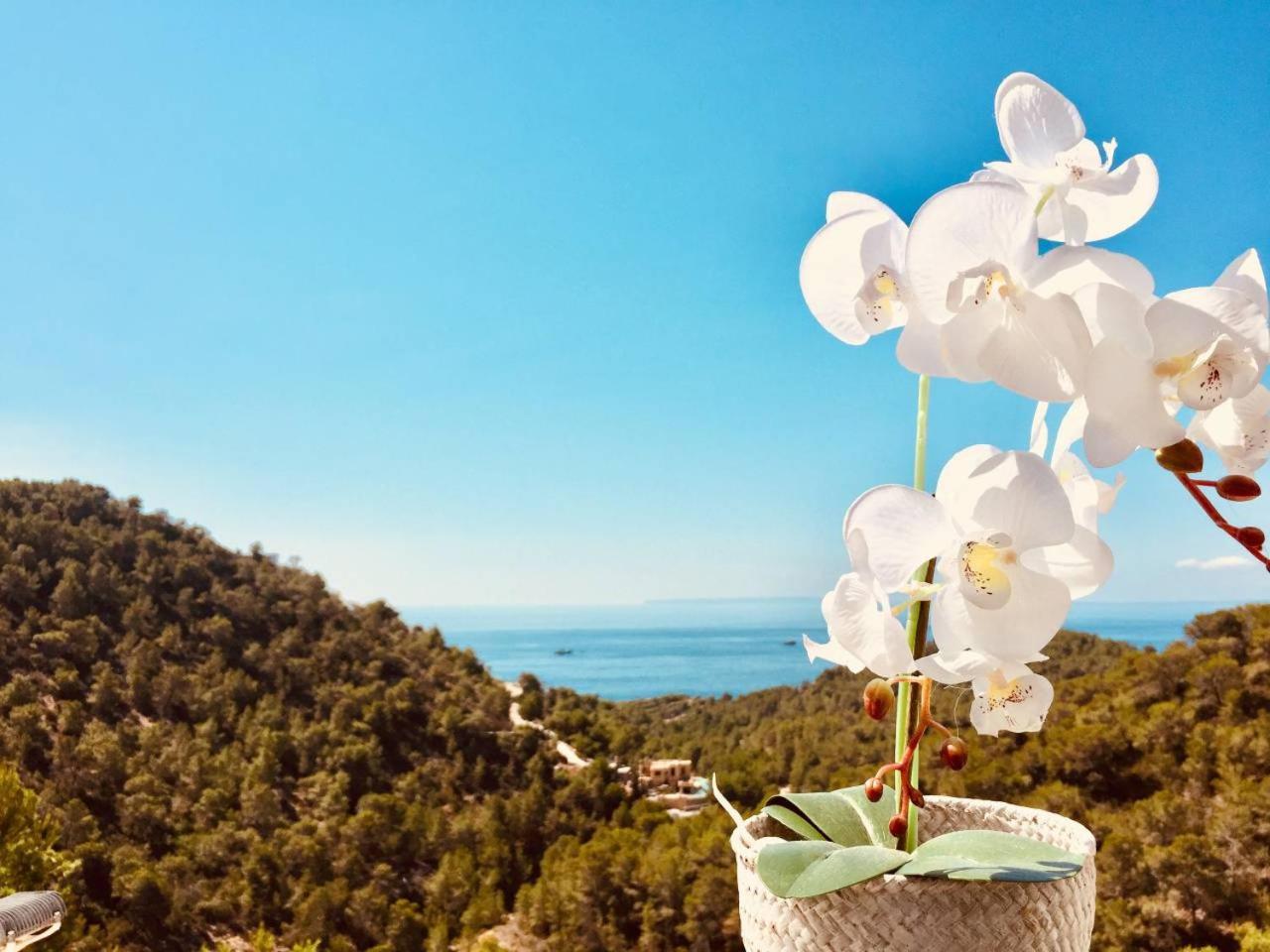 Villa Orquidea - Amazing landscape view