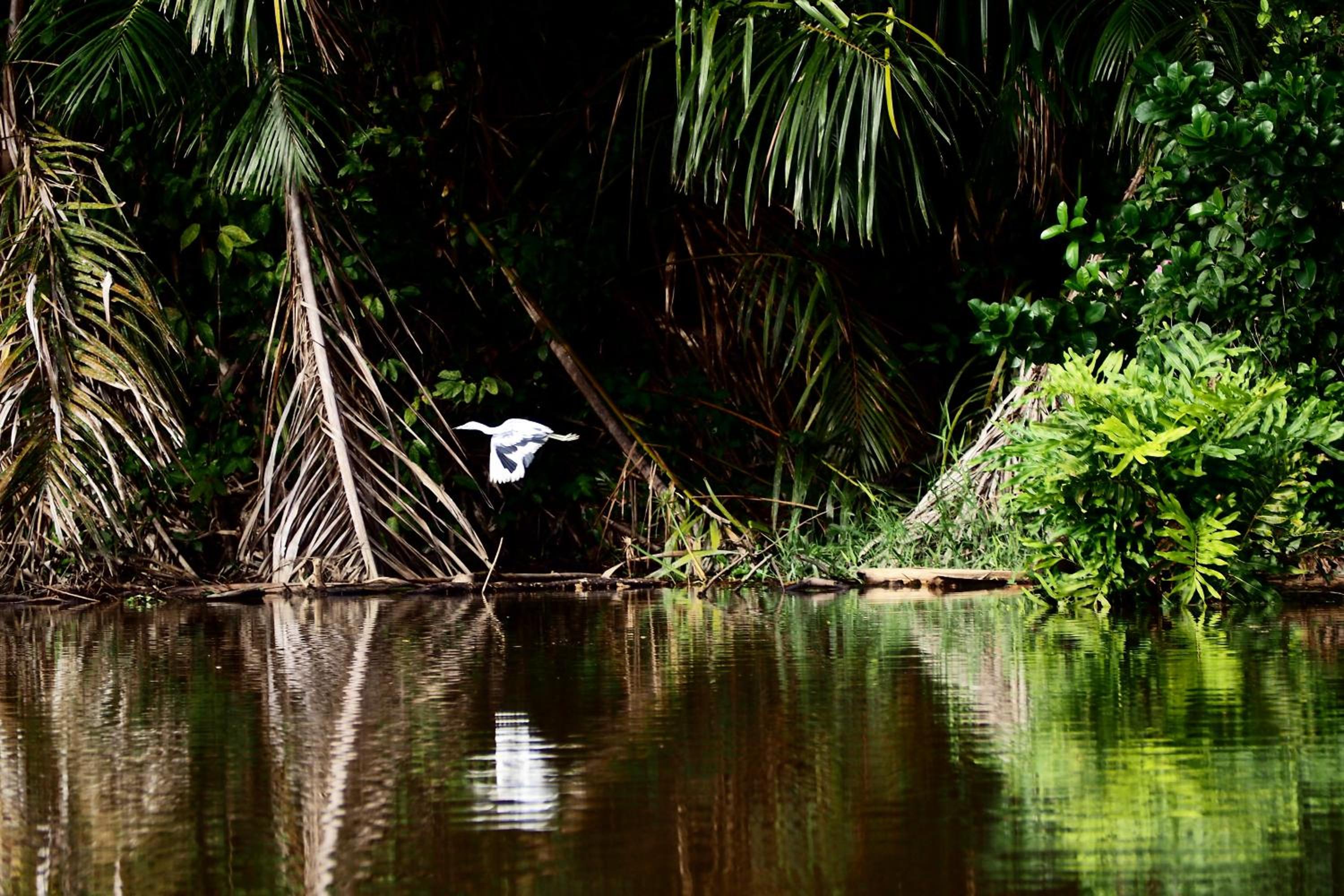 Casa Grande at Pacuare Reserve