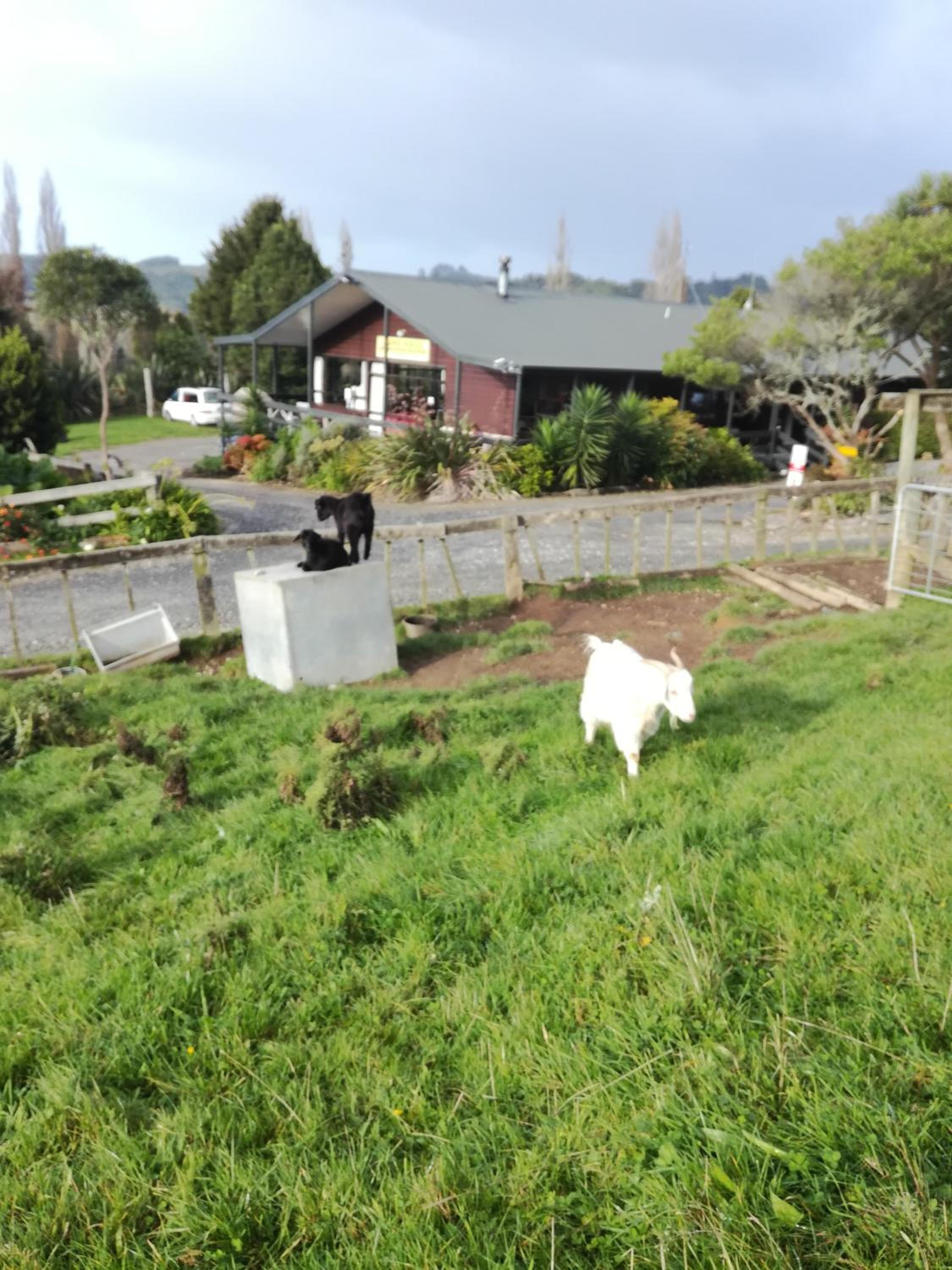 Photo 17
