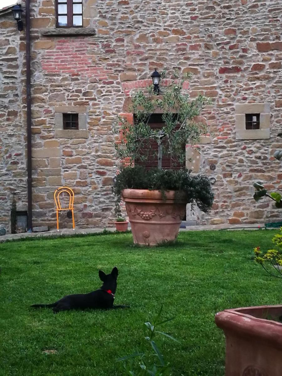 Photo 36