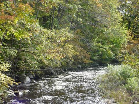 Fish Creek House Bed & Breakfast