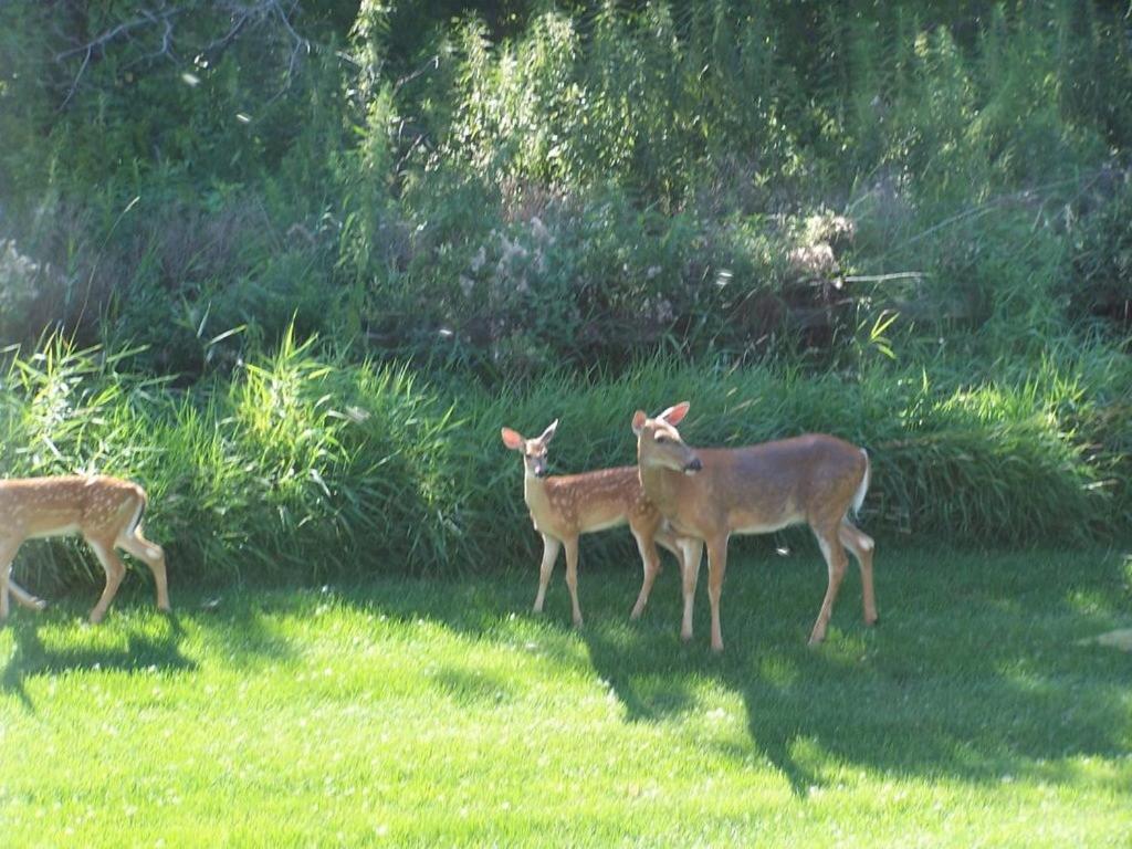 Fish Creek House Bed & Breakfast