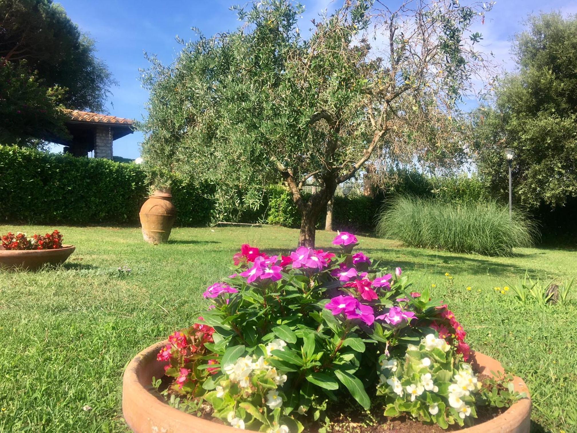 Agriturismo TERRANERA