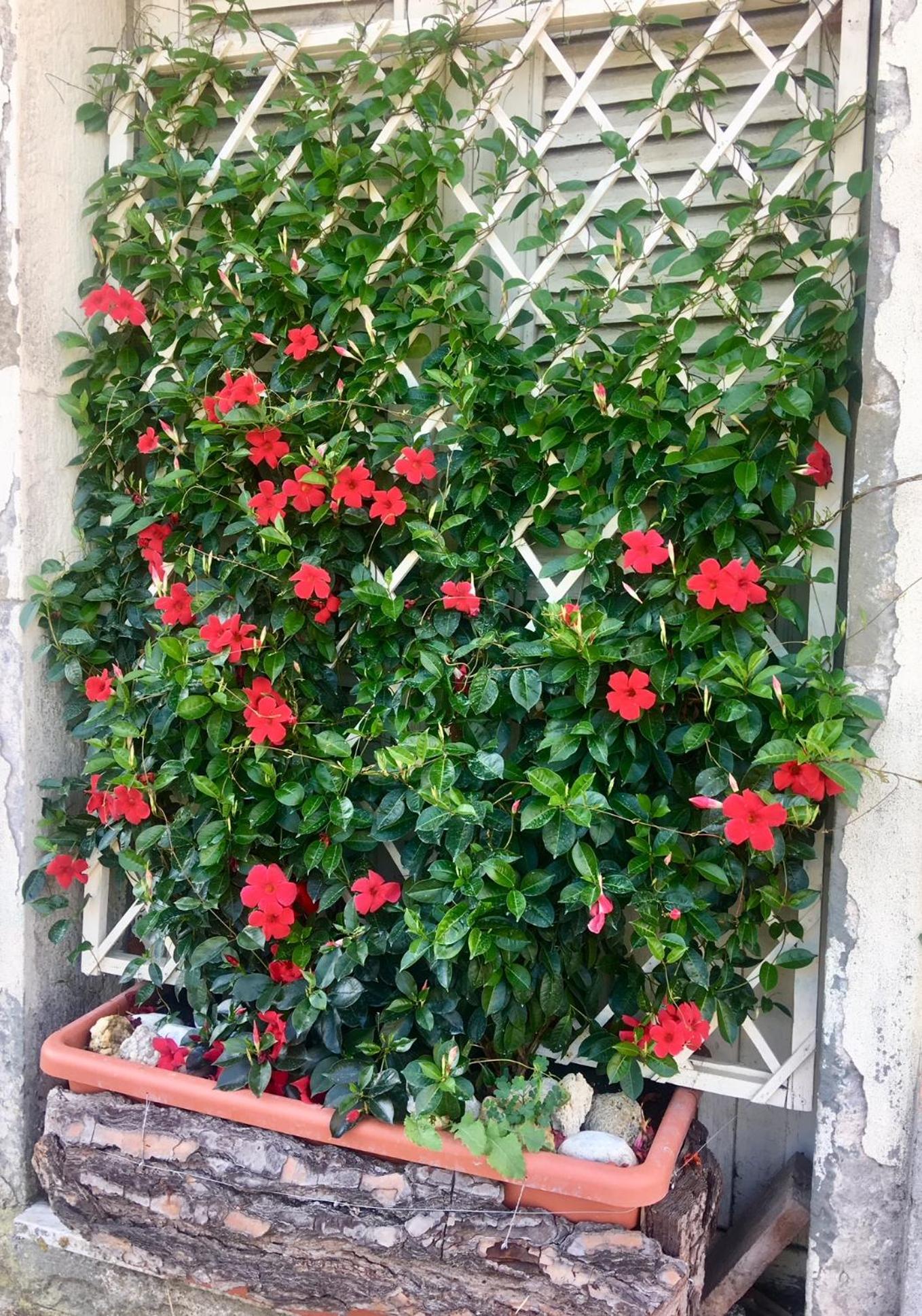 Agriturismo TERRANERA