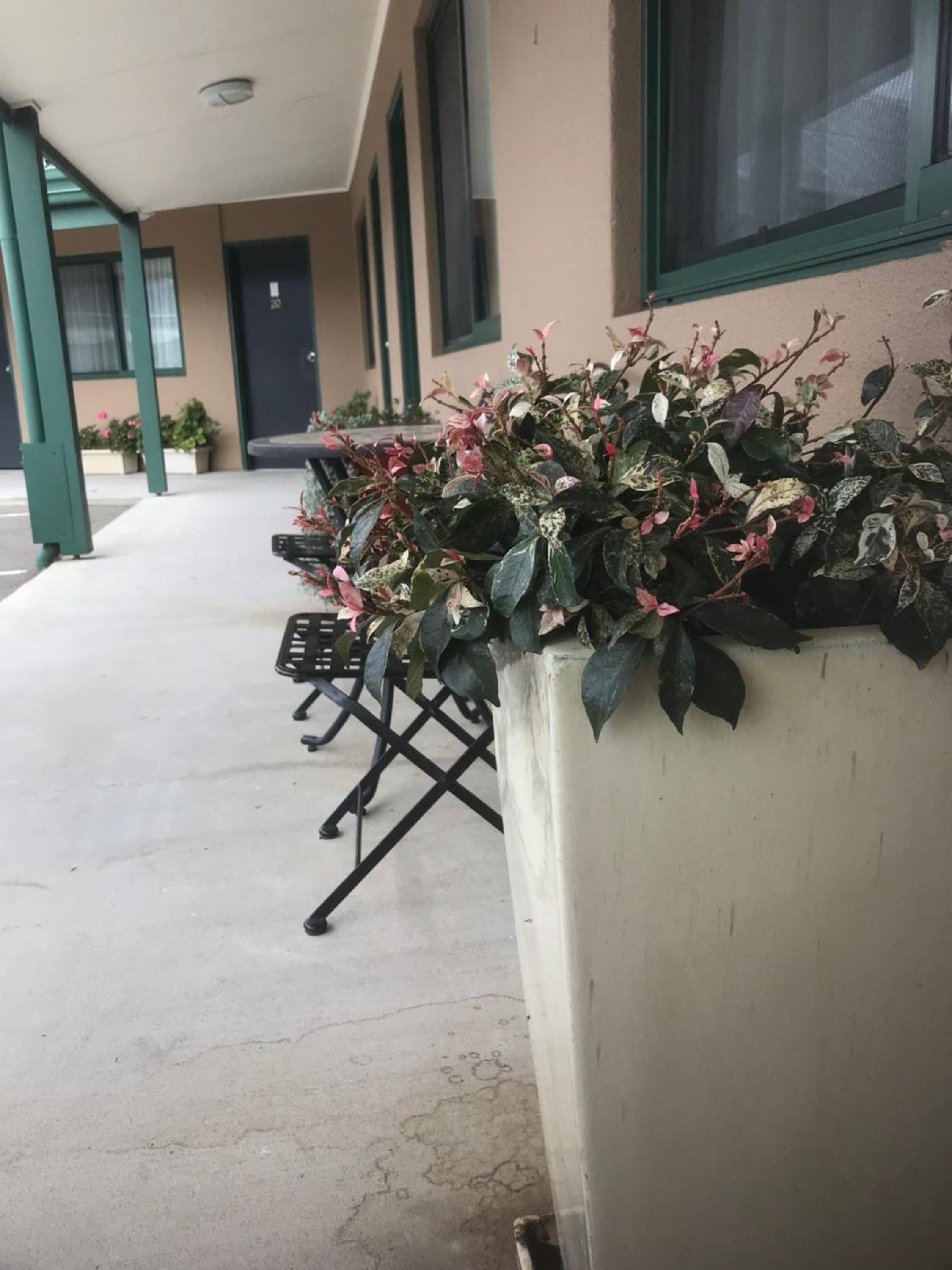 The Bakehouse Motel