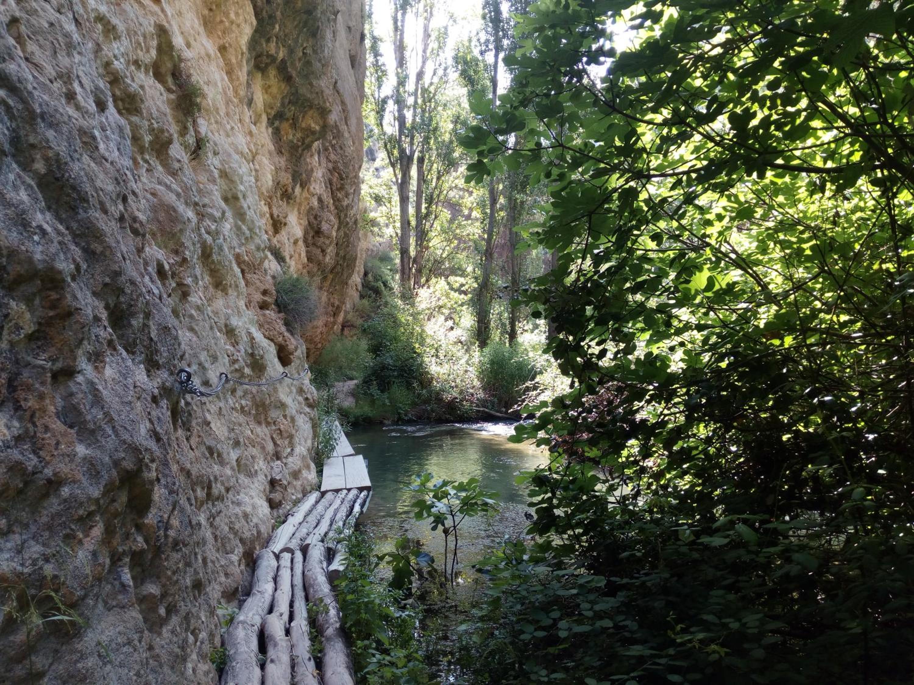 Photo 27