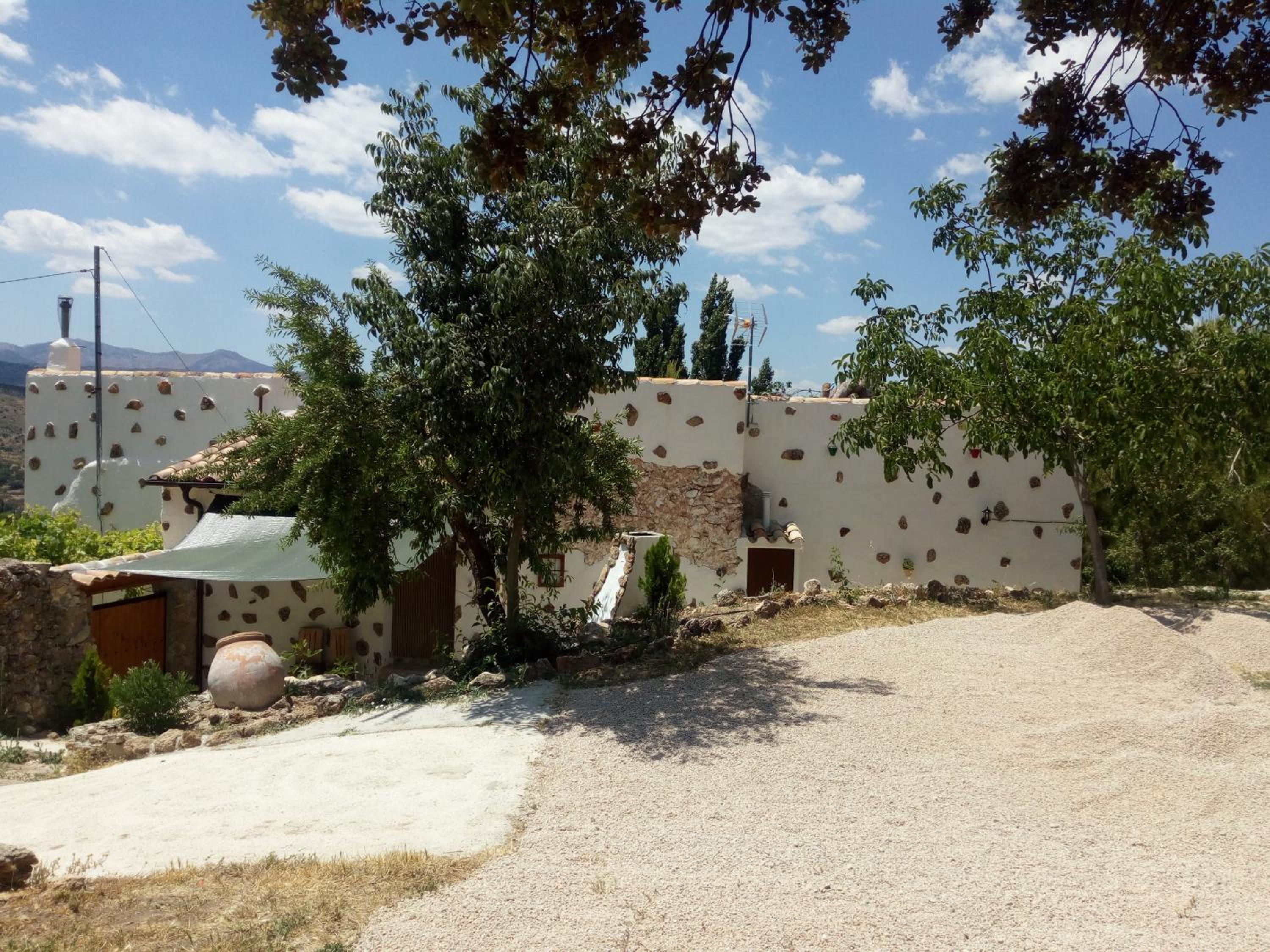 Photo 28