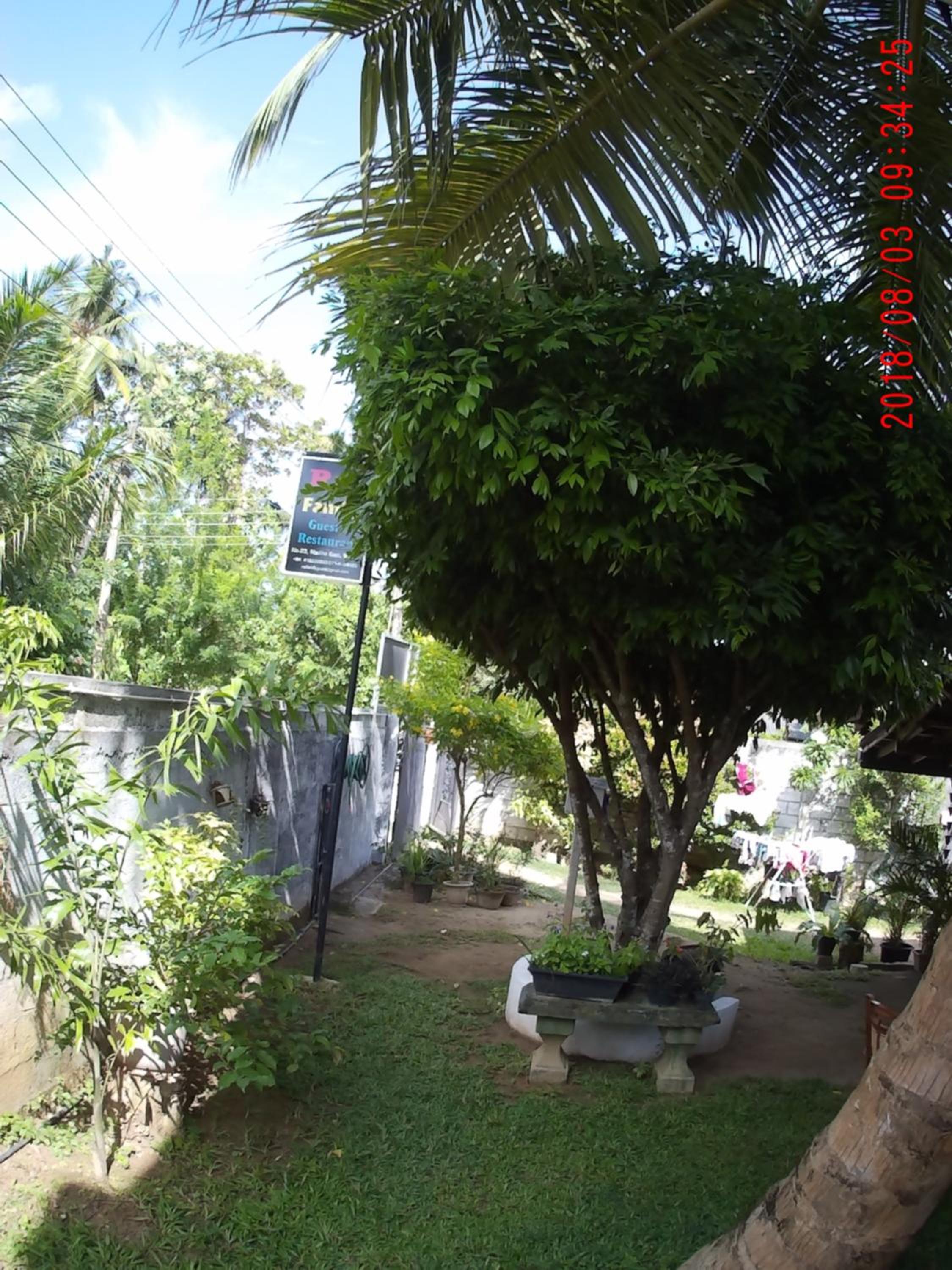 Photo 36