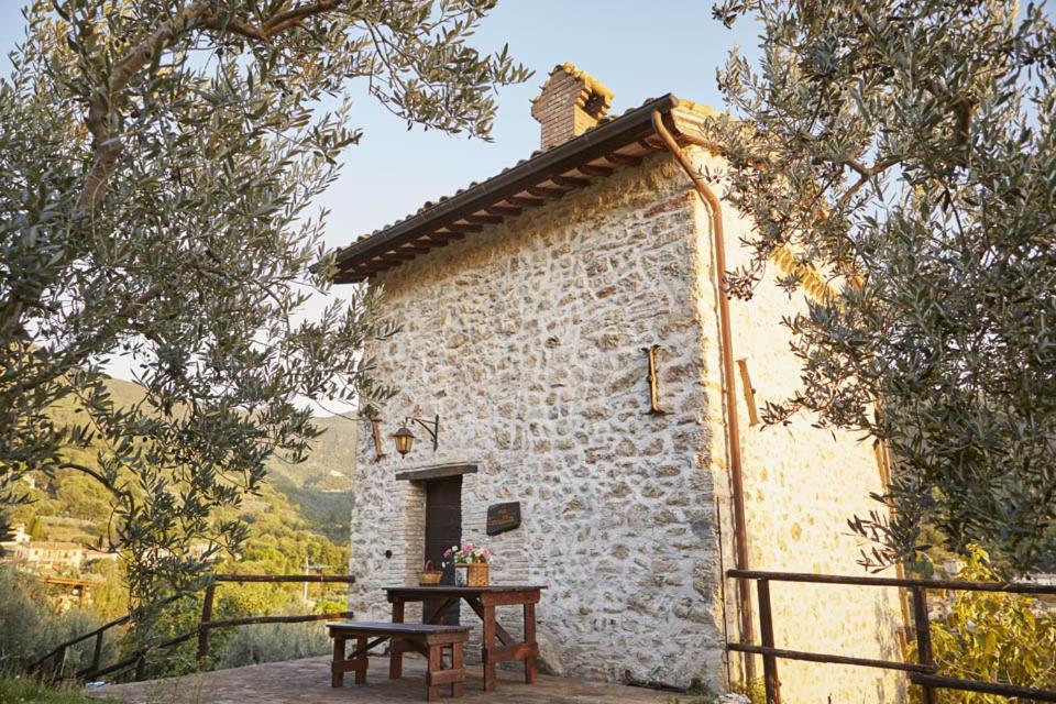 Il Casalino - appartamenti in campagna view 4