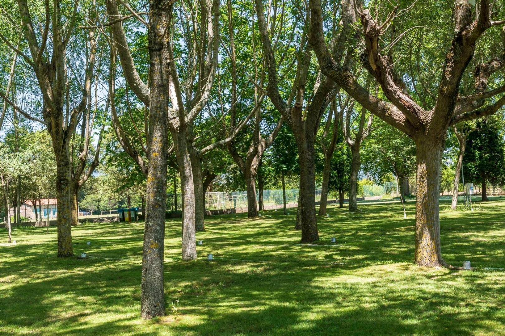 Camping Santa Tecla