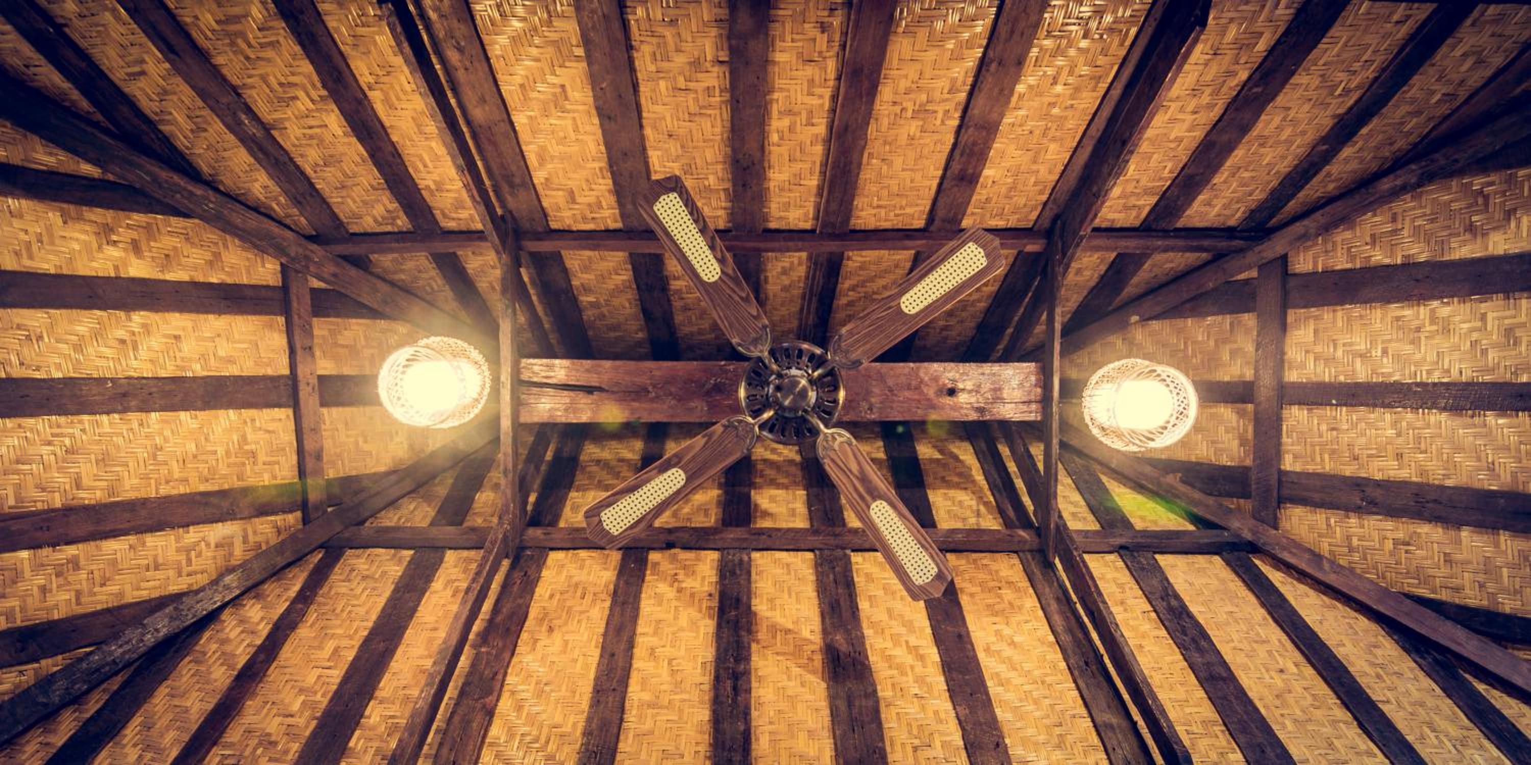 Dragonfly Village