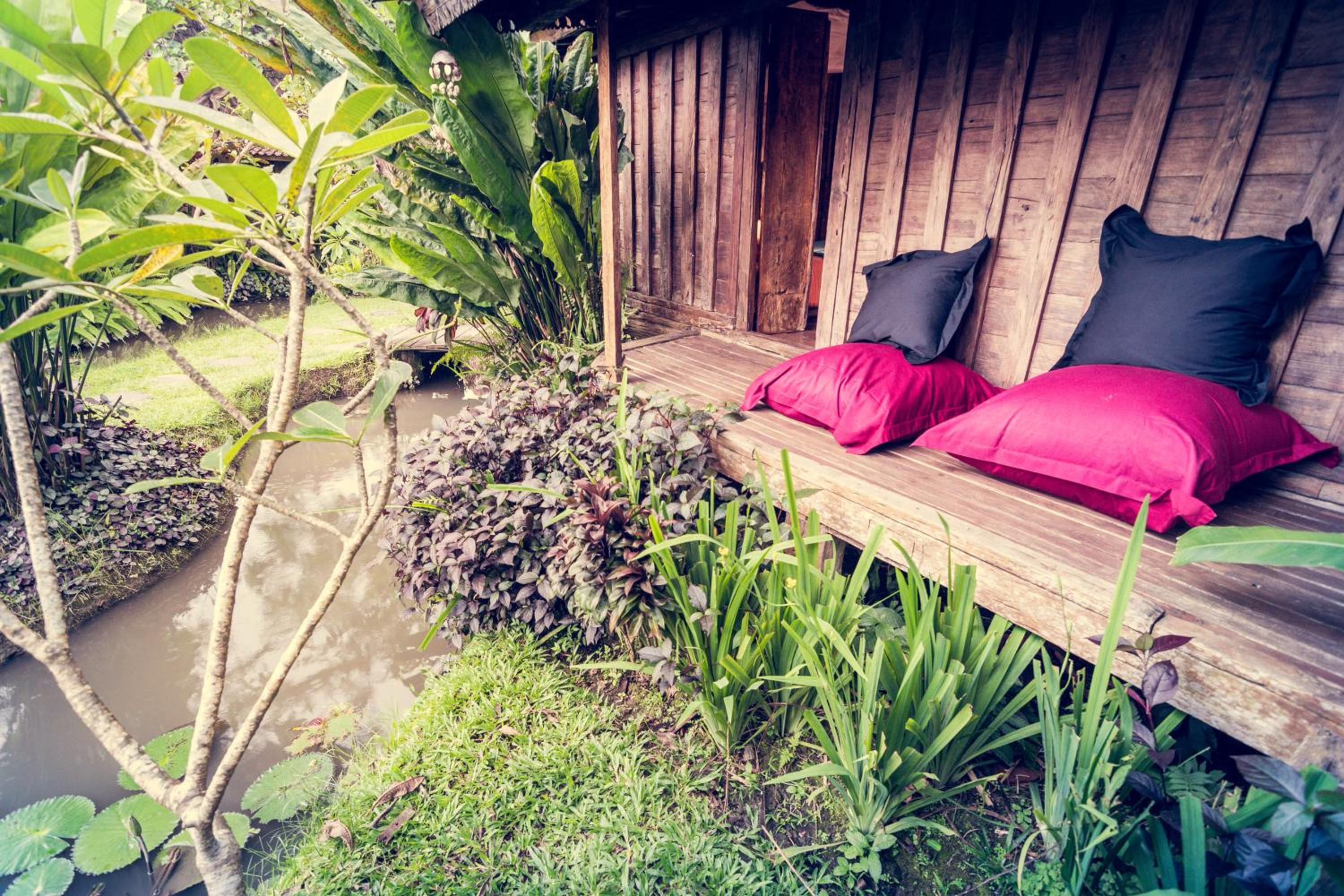 Dragonfly Village