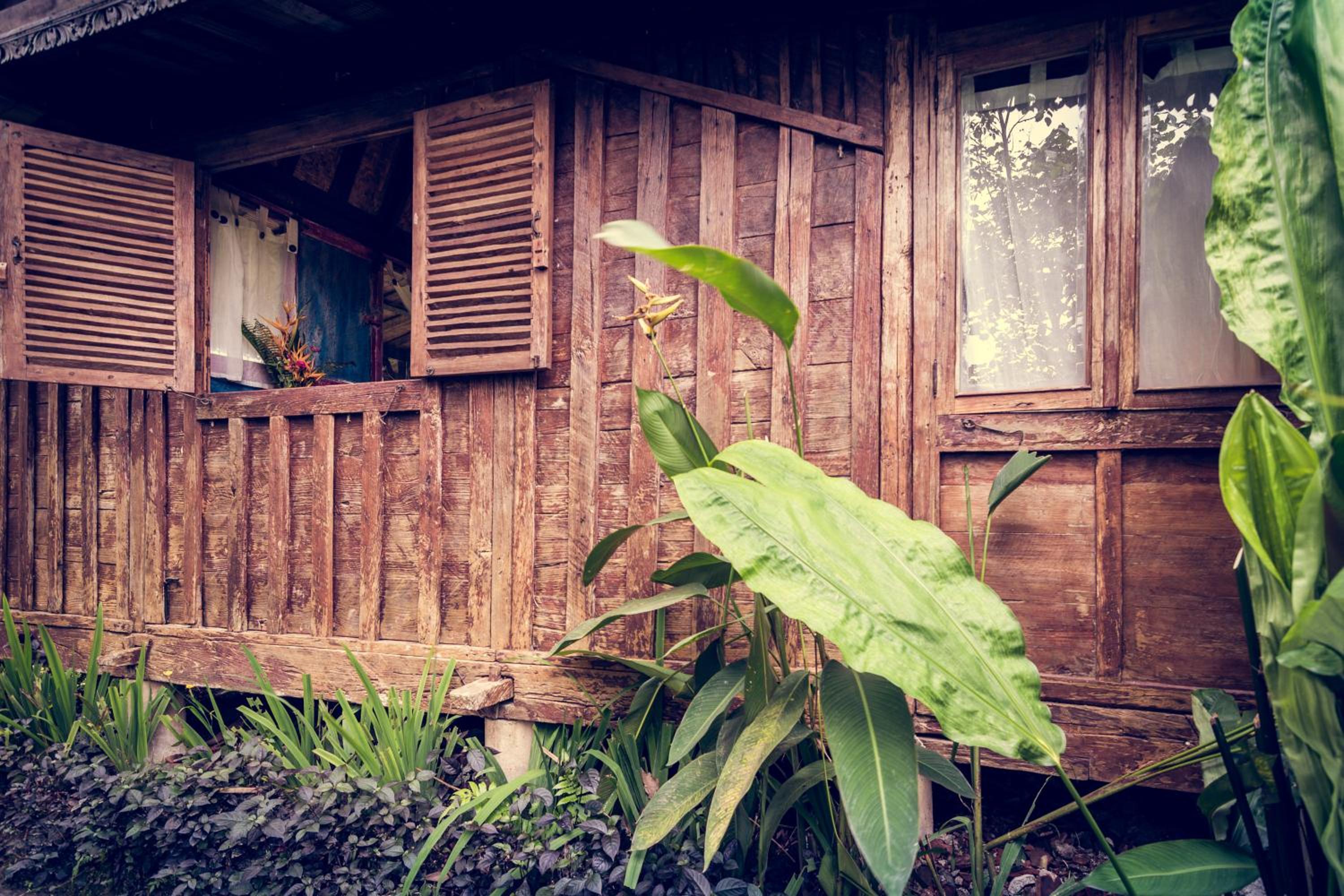 Dragonfly Village