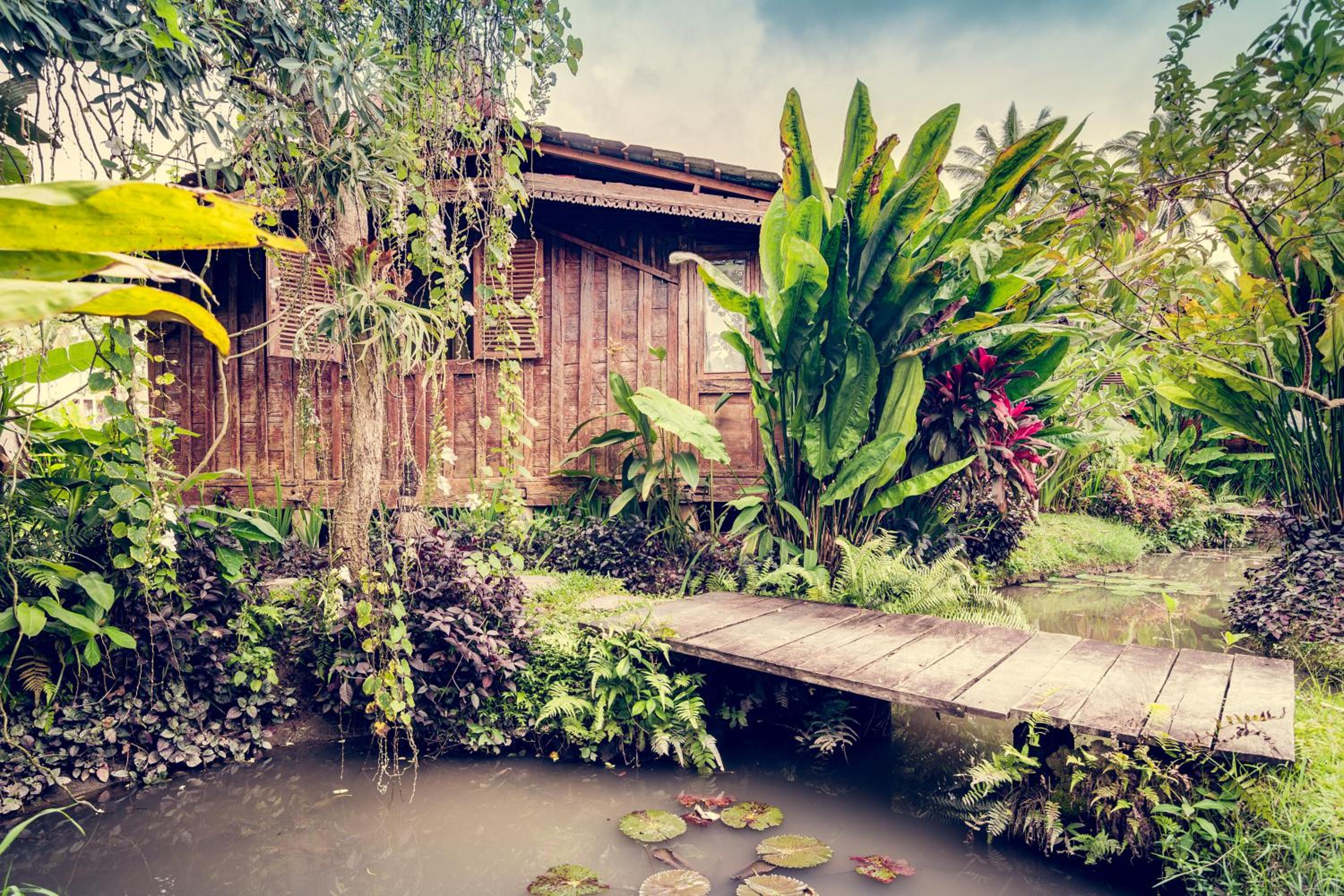 Dragonfly Village
