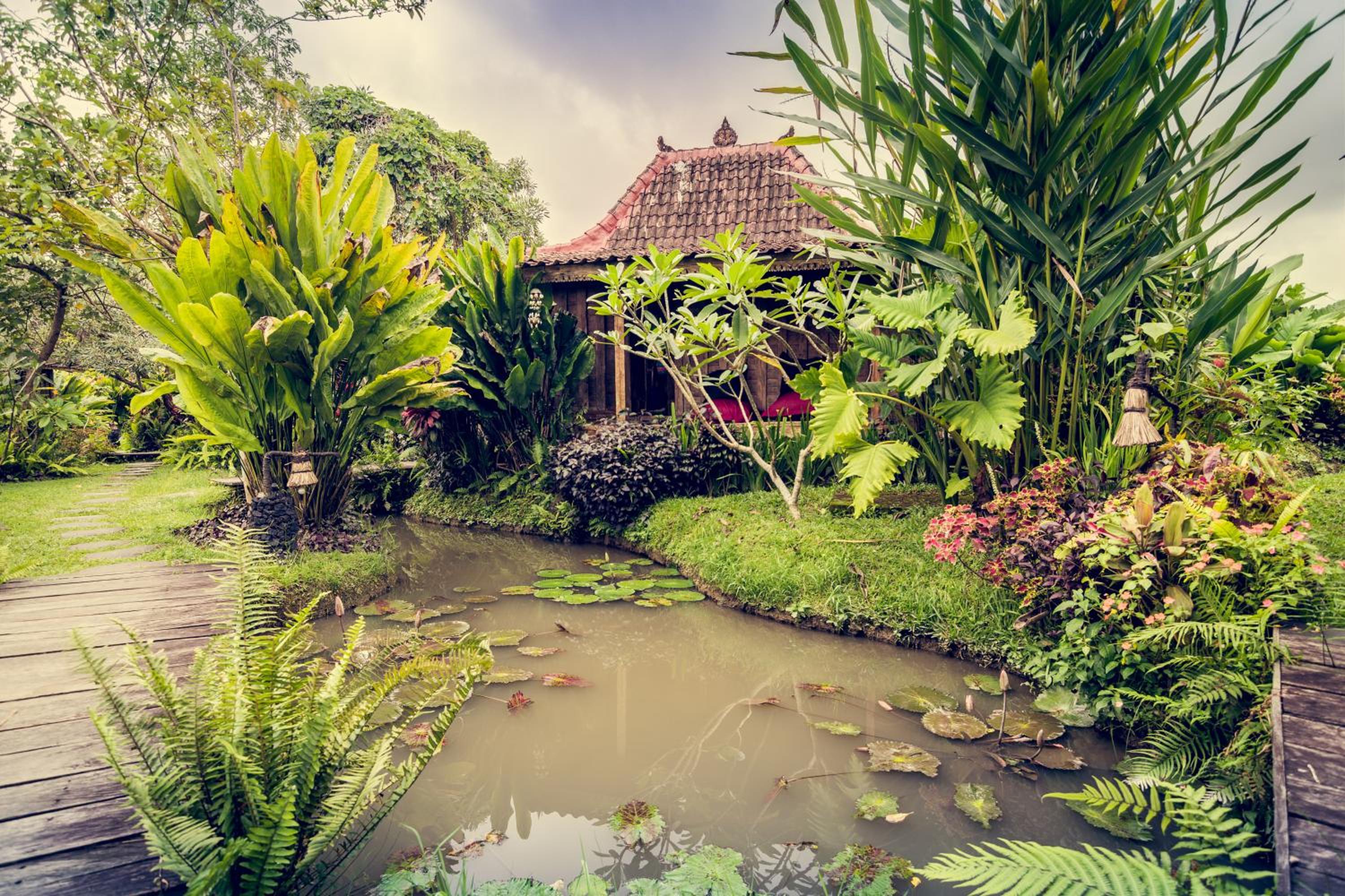 Dragonfly Village