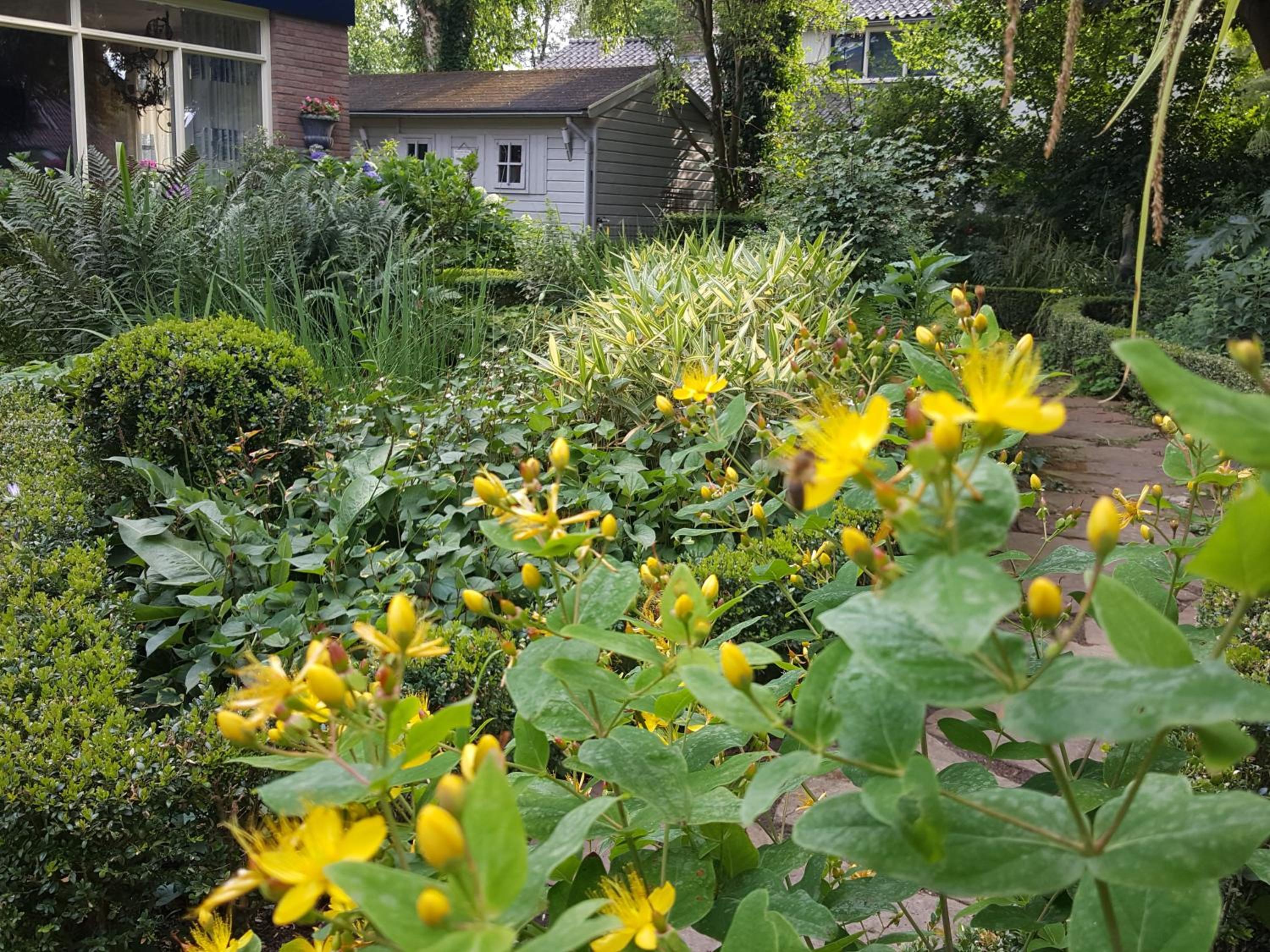Photo 14