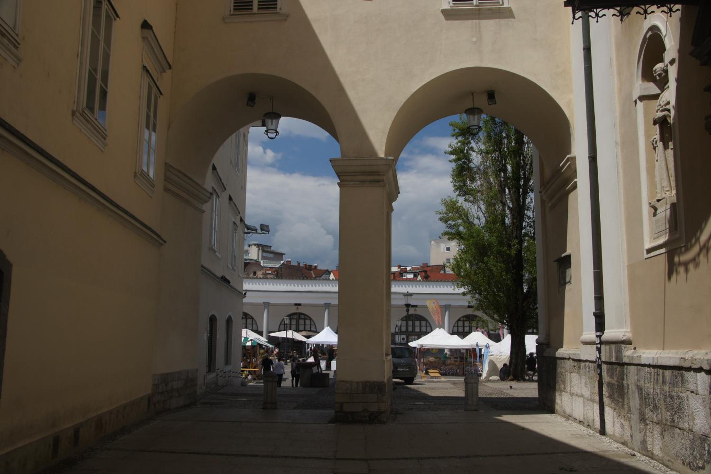 Photo 51