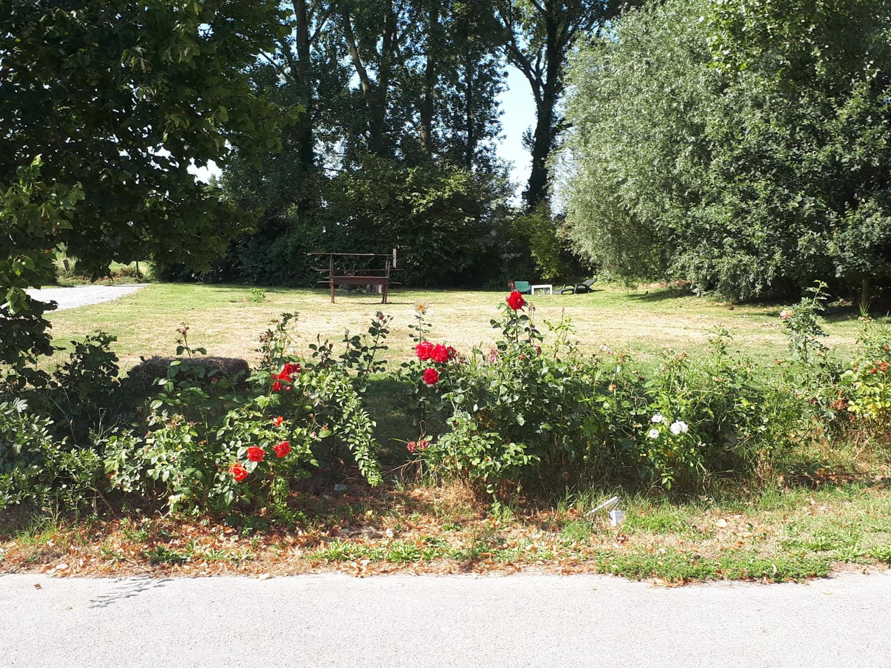 Photo 45