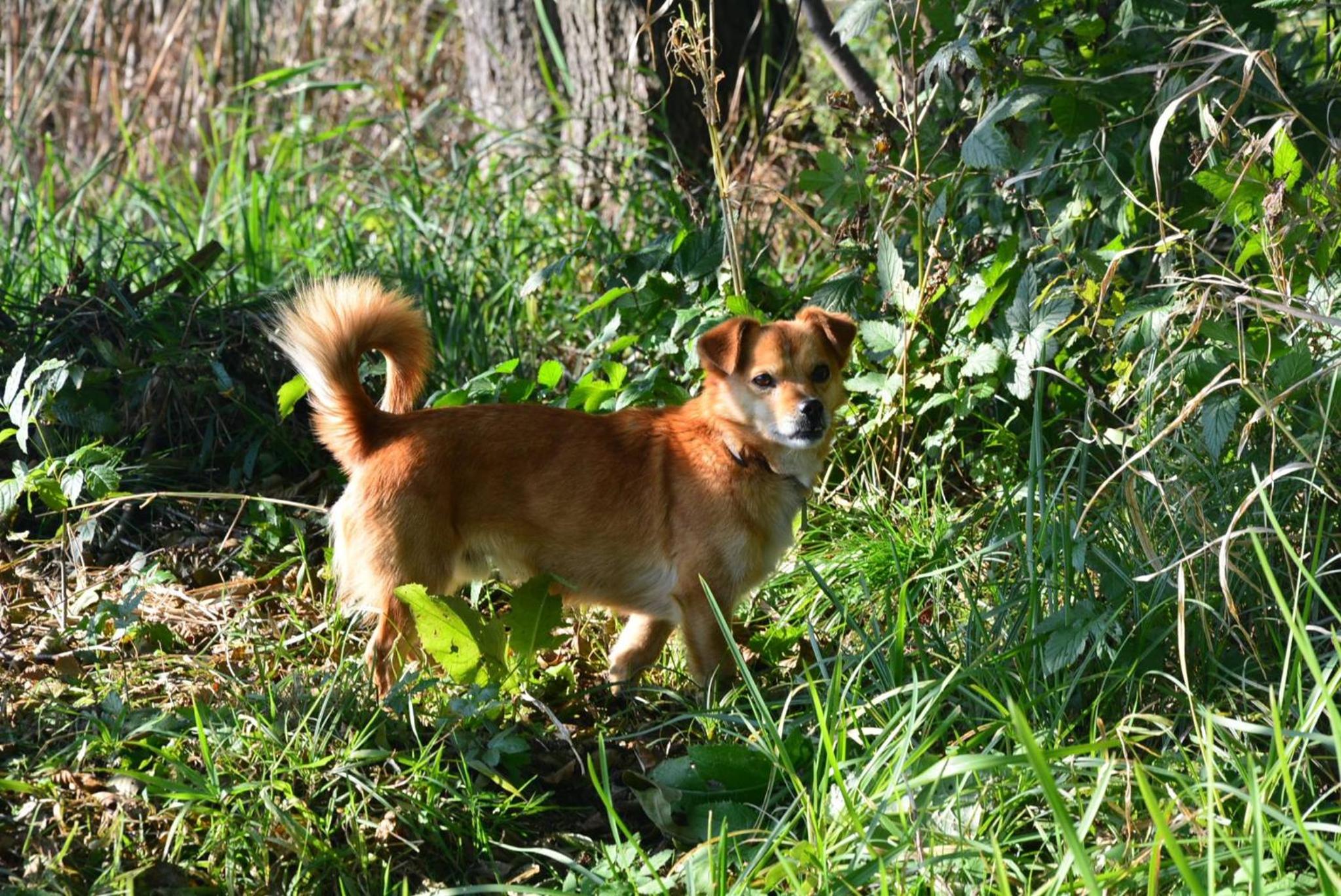 Photo 22