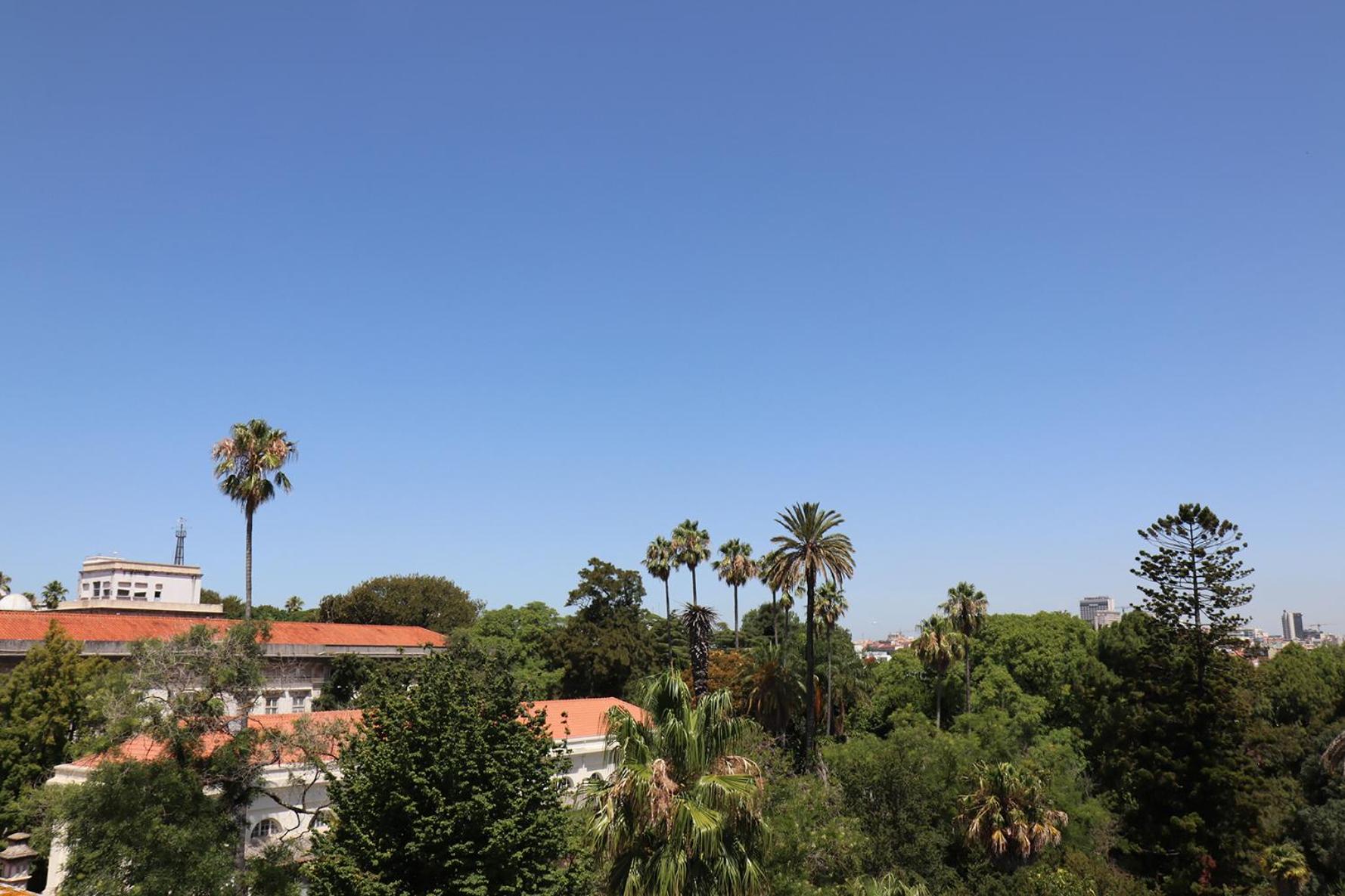 Botanic Views Guest House
