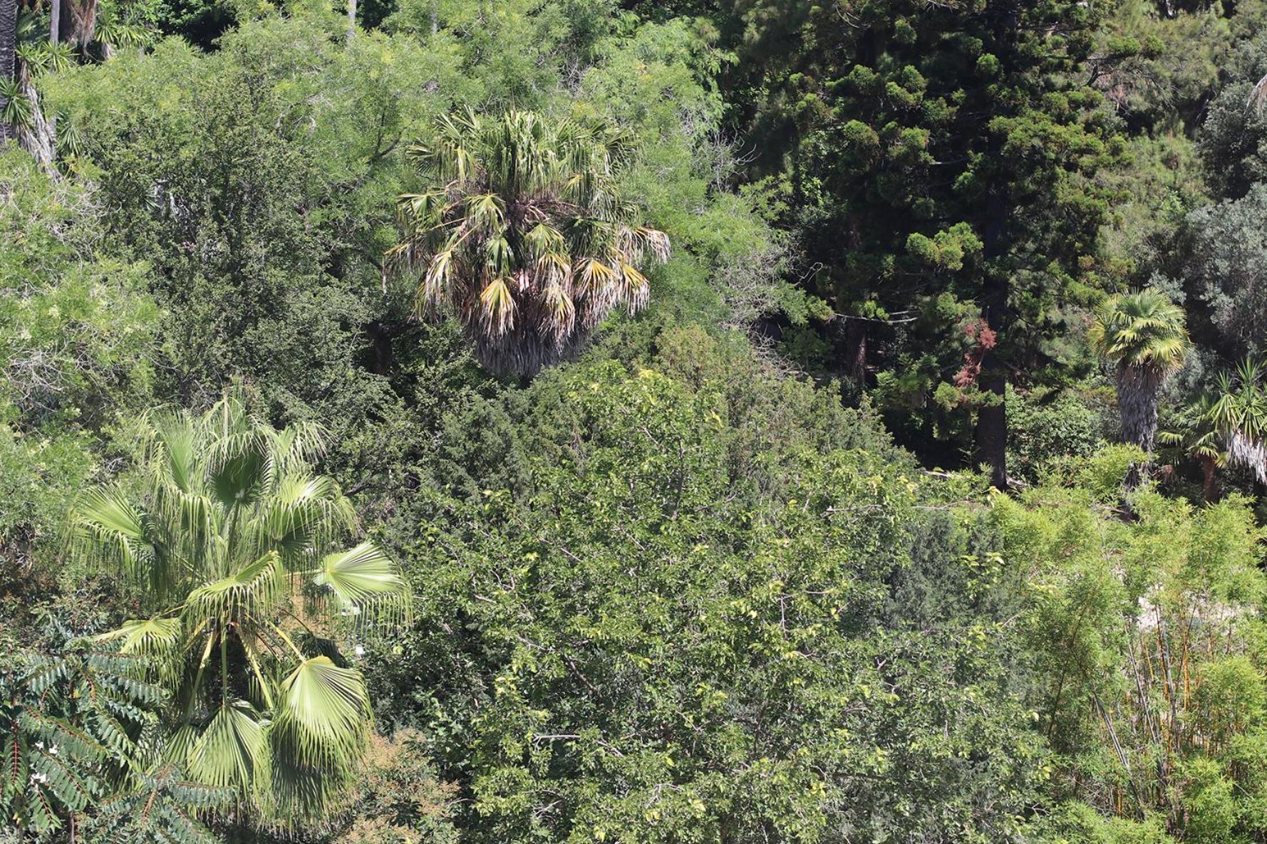 Botanic Views Guest House
