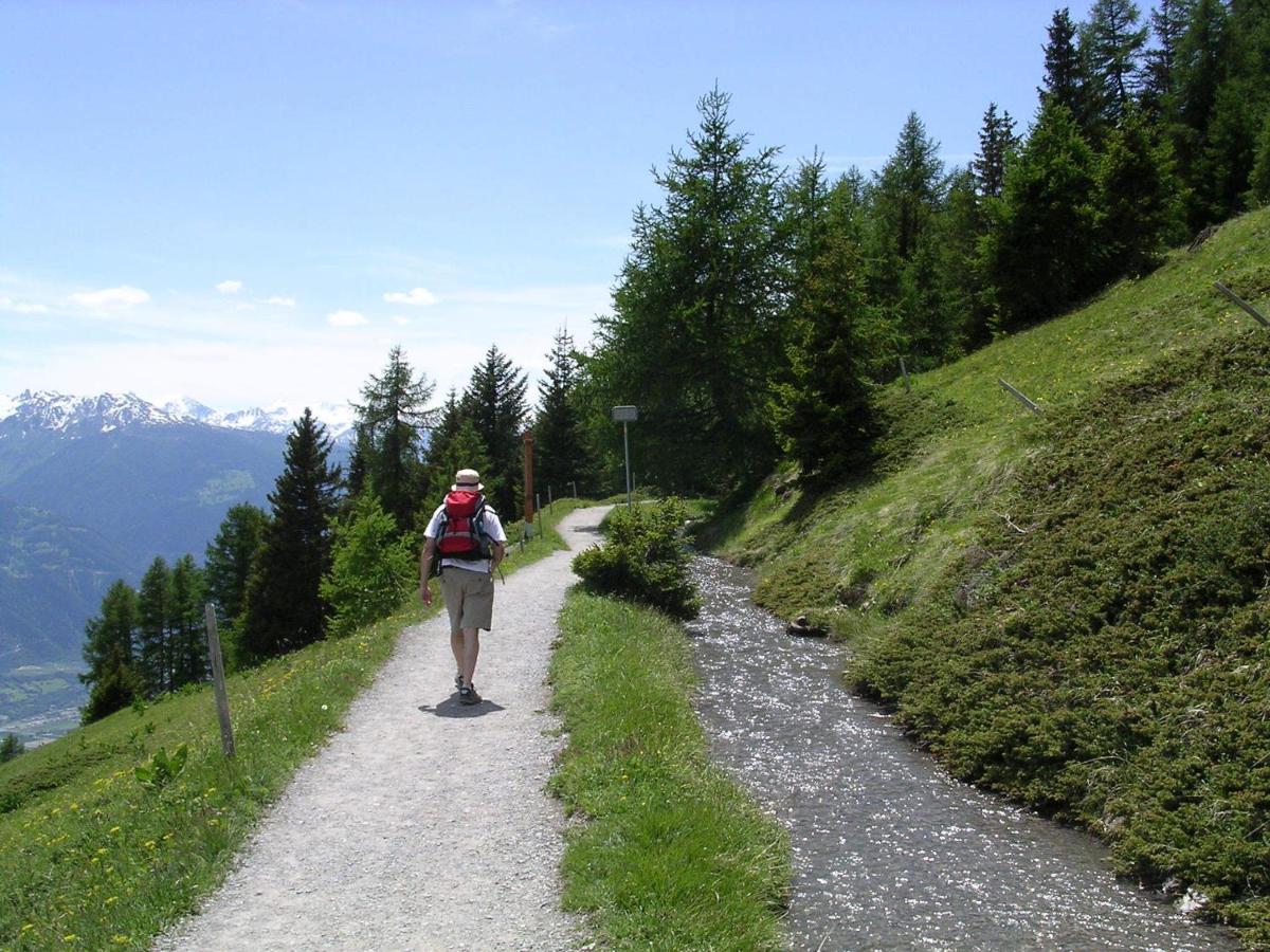 Chalet des Alpes