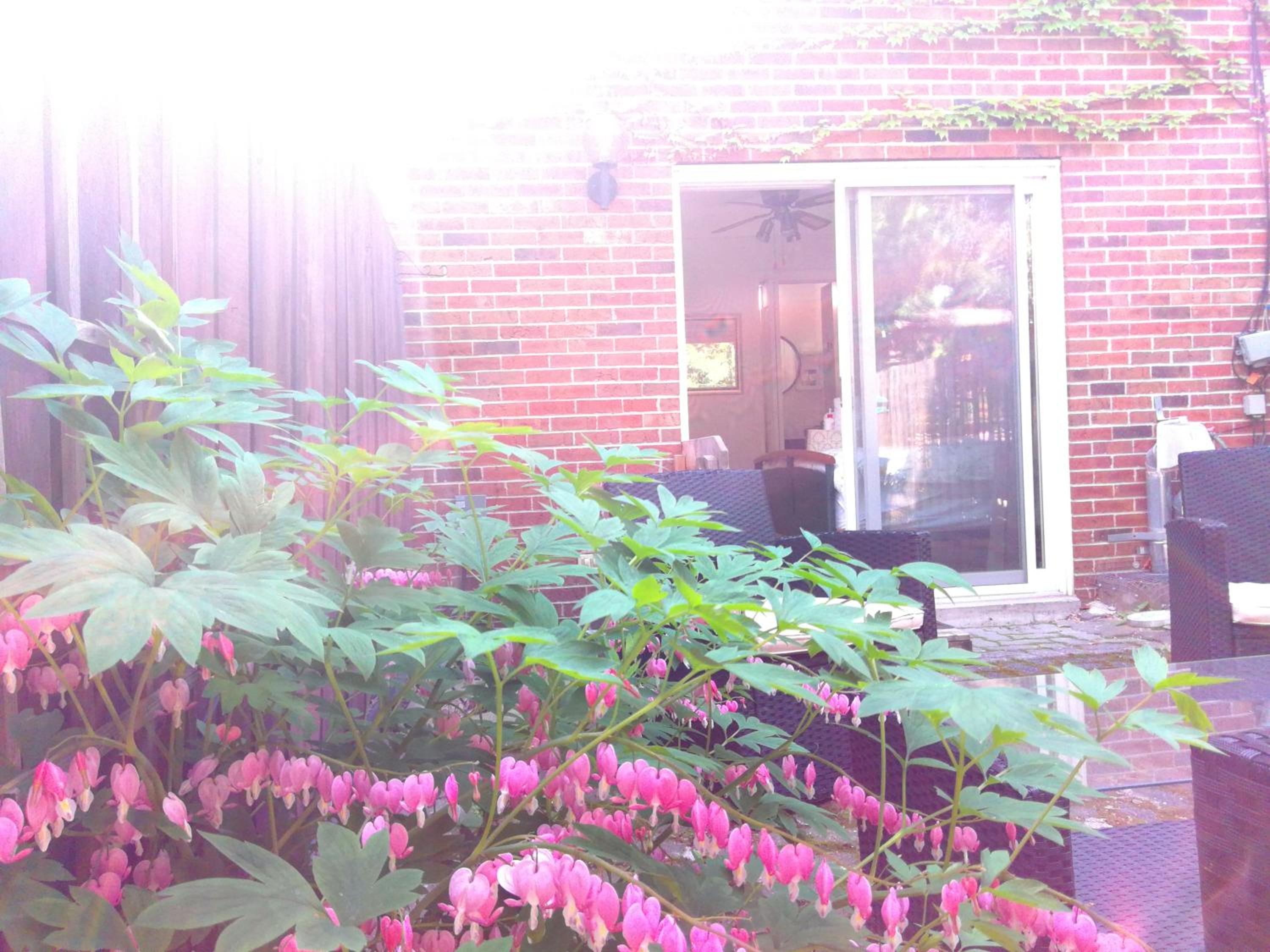 Margie Townhome Suites