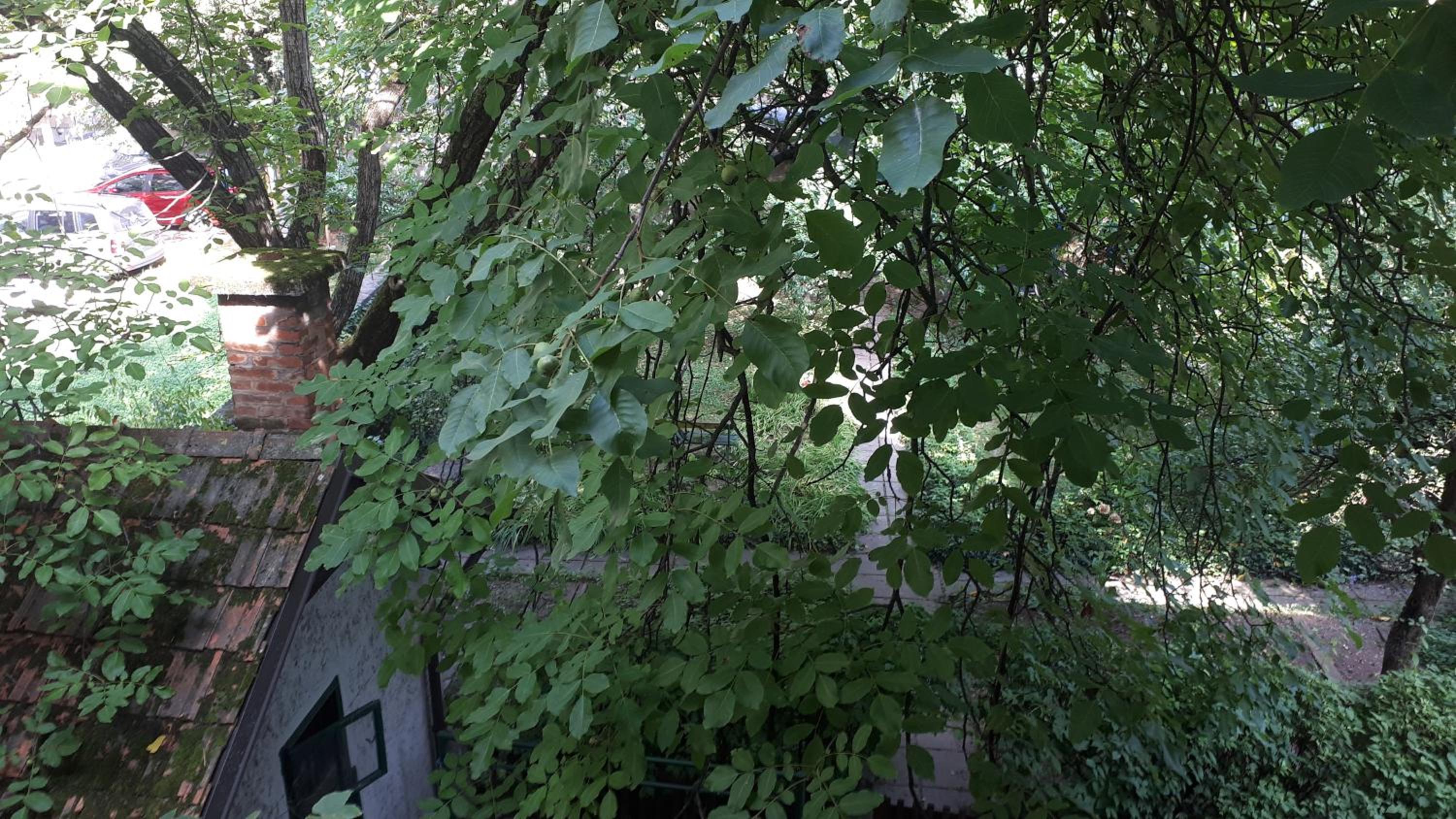Tabor - Apartments Rozmanova Street view 2