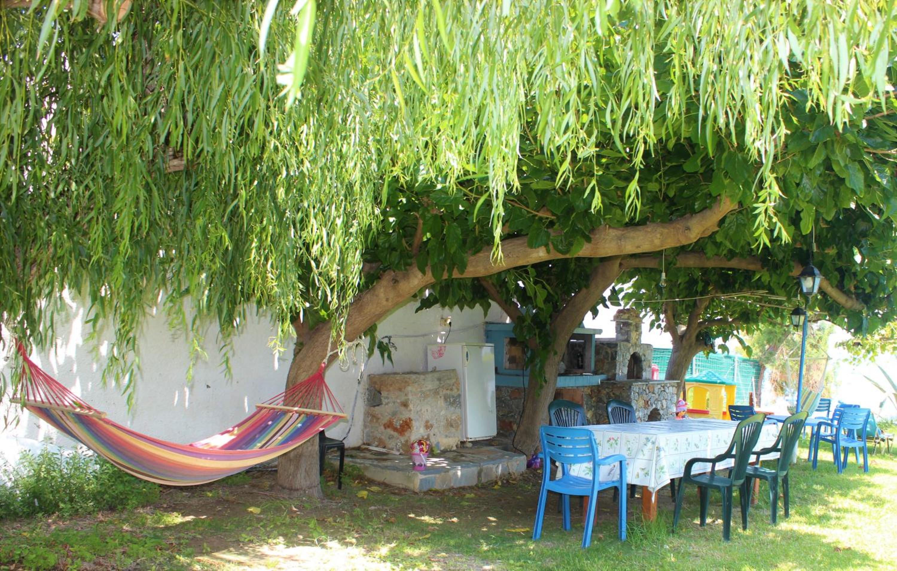 Photo 13