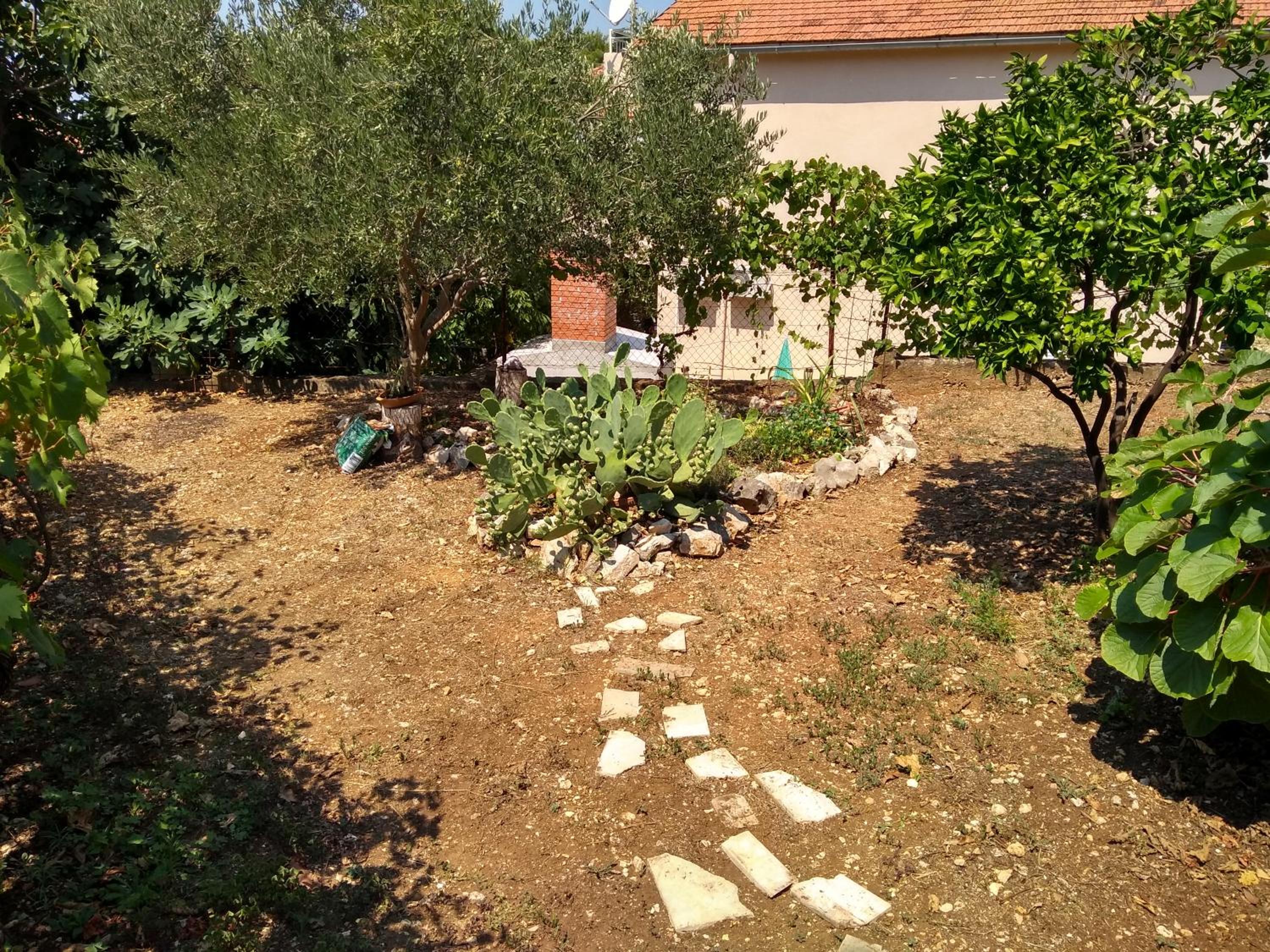 Photo 22