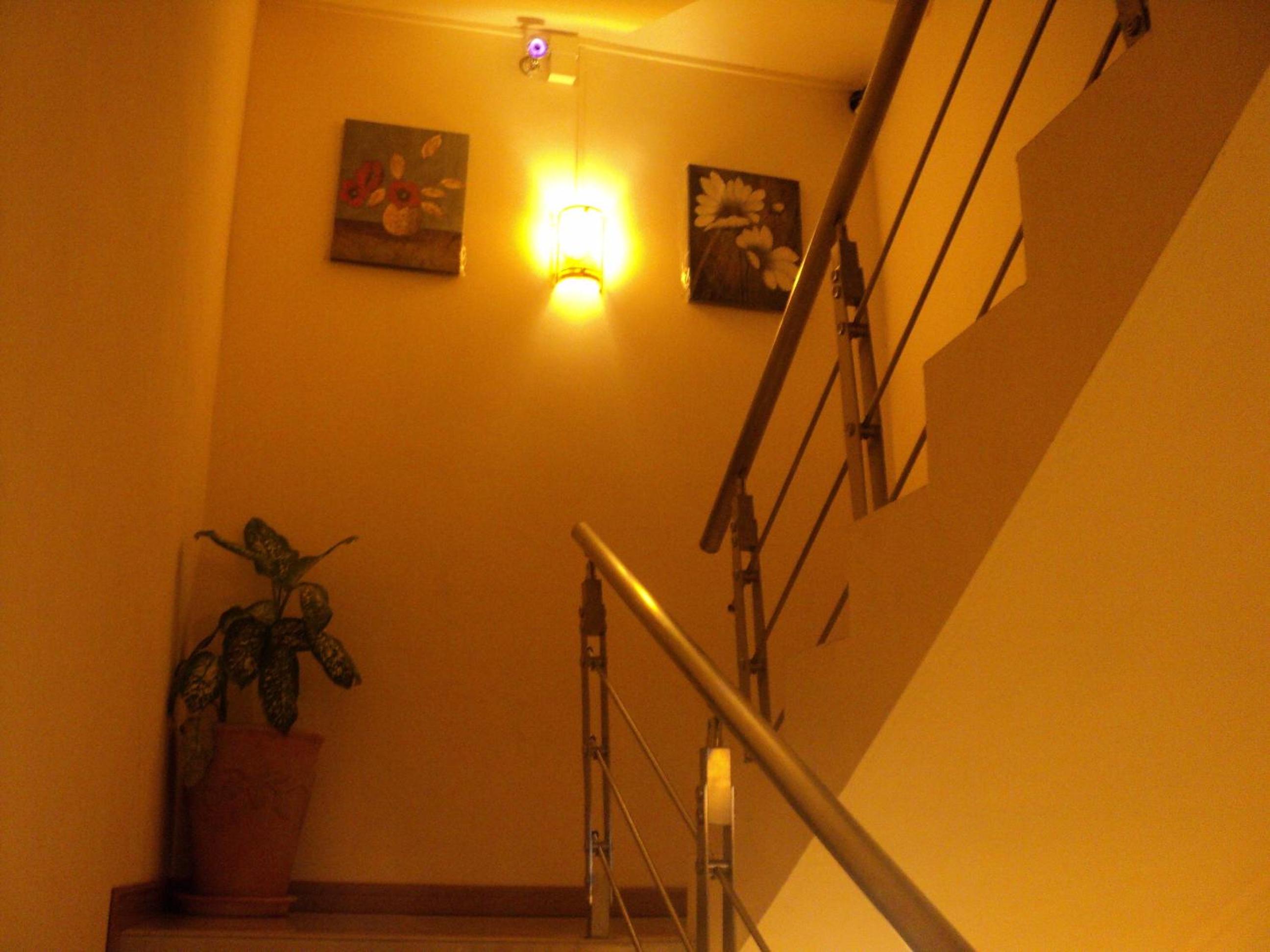 Photo 28