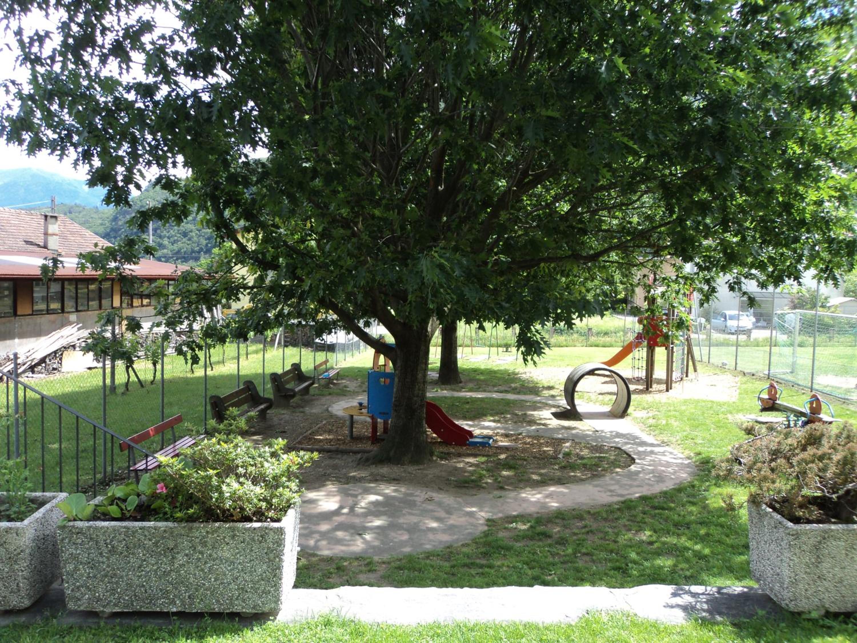 Photo 7