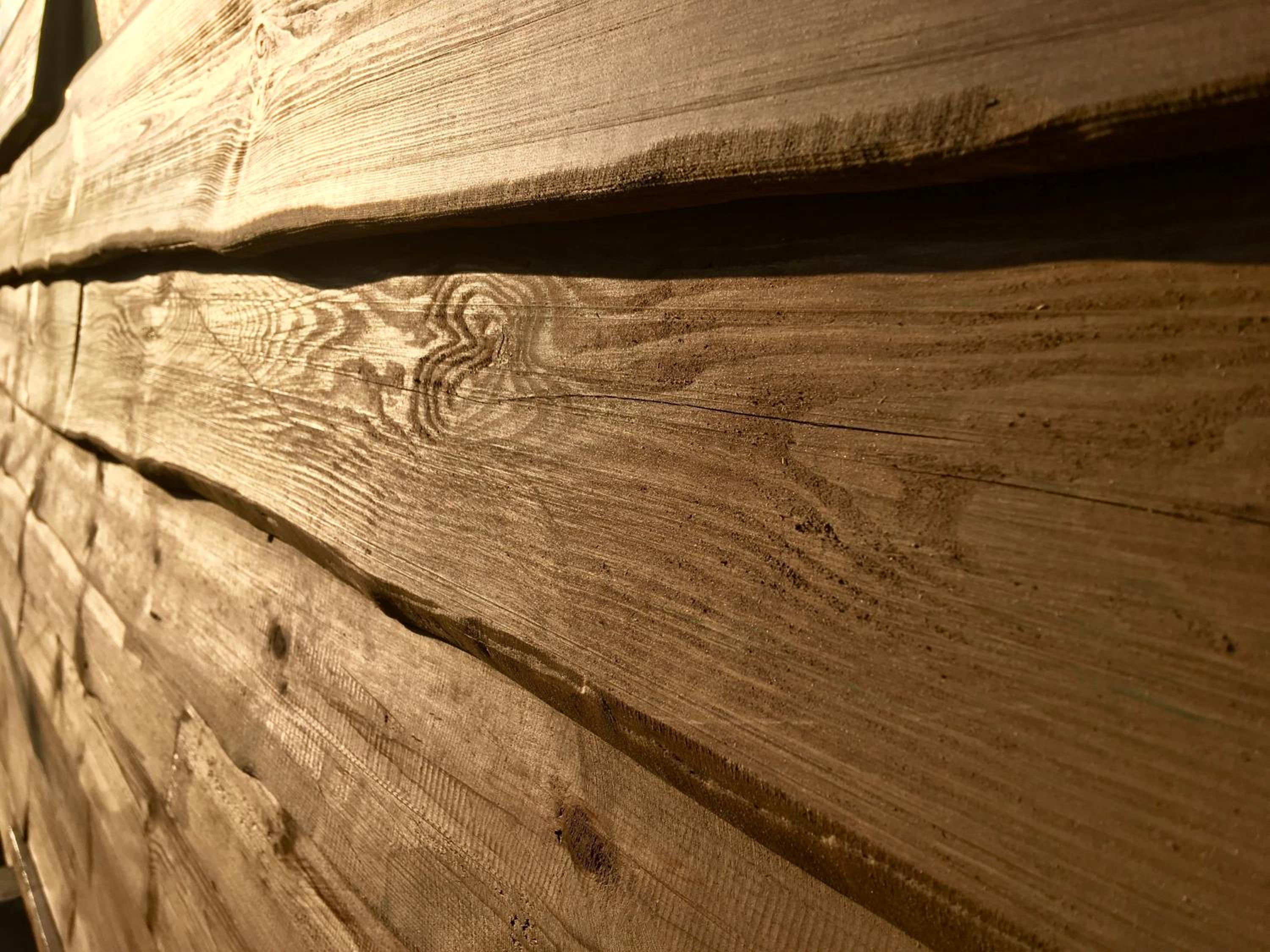 Holzhaus Trollblümchen am Wald und See