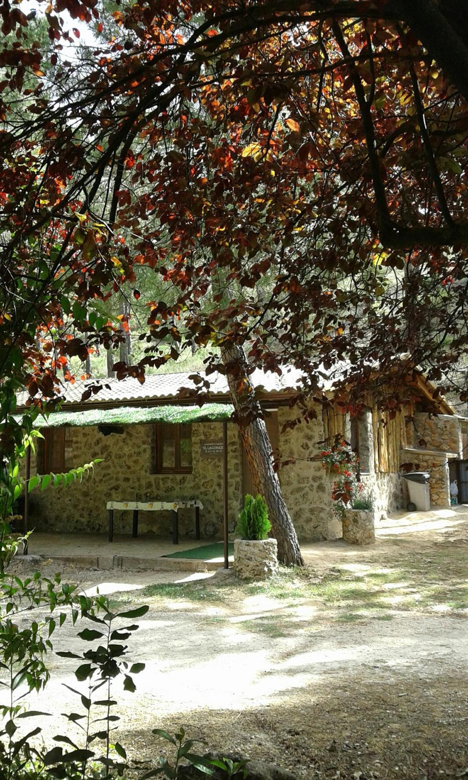 Photo 19