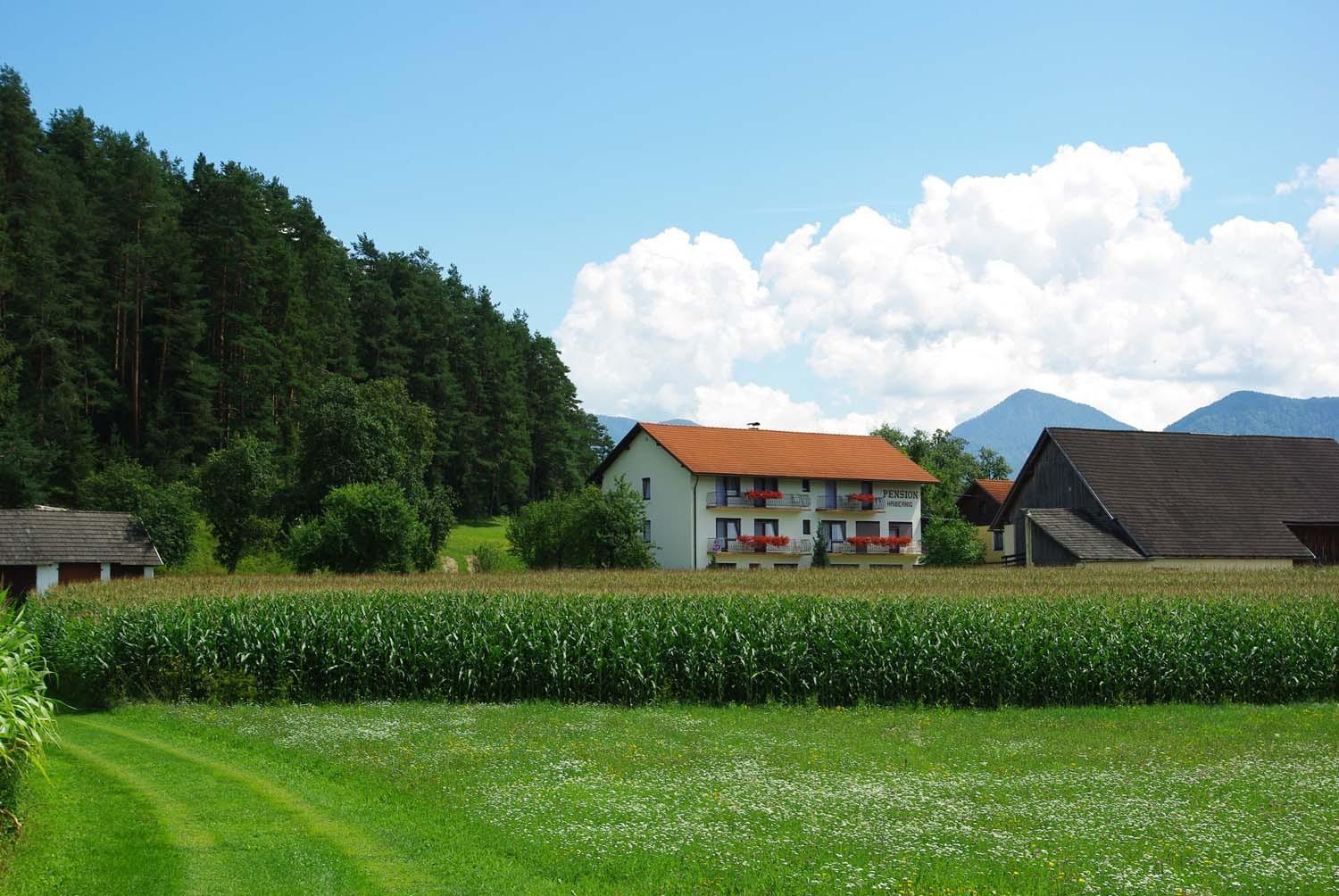 Pension Hribernig