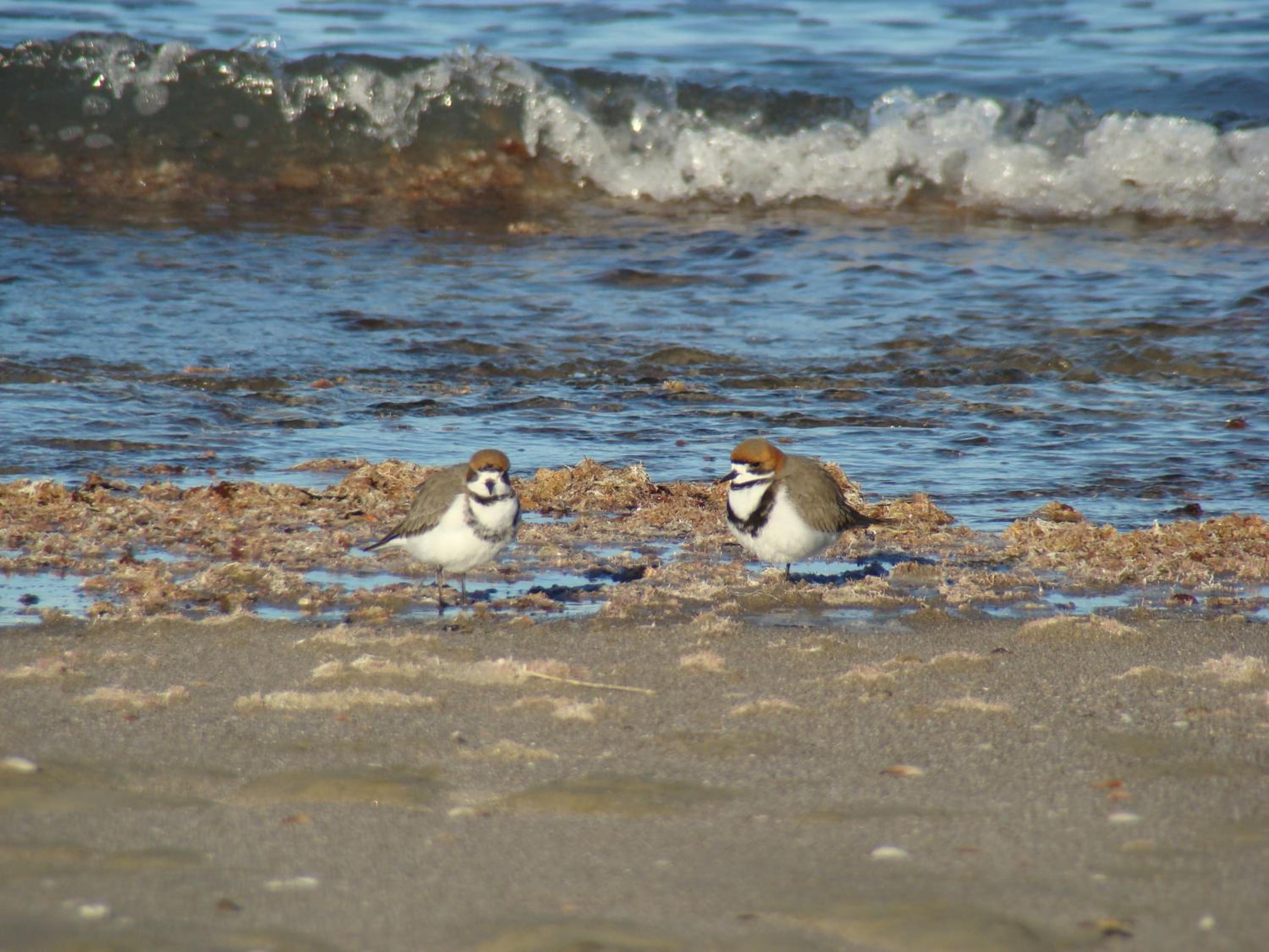 Médanos Patagonia