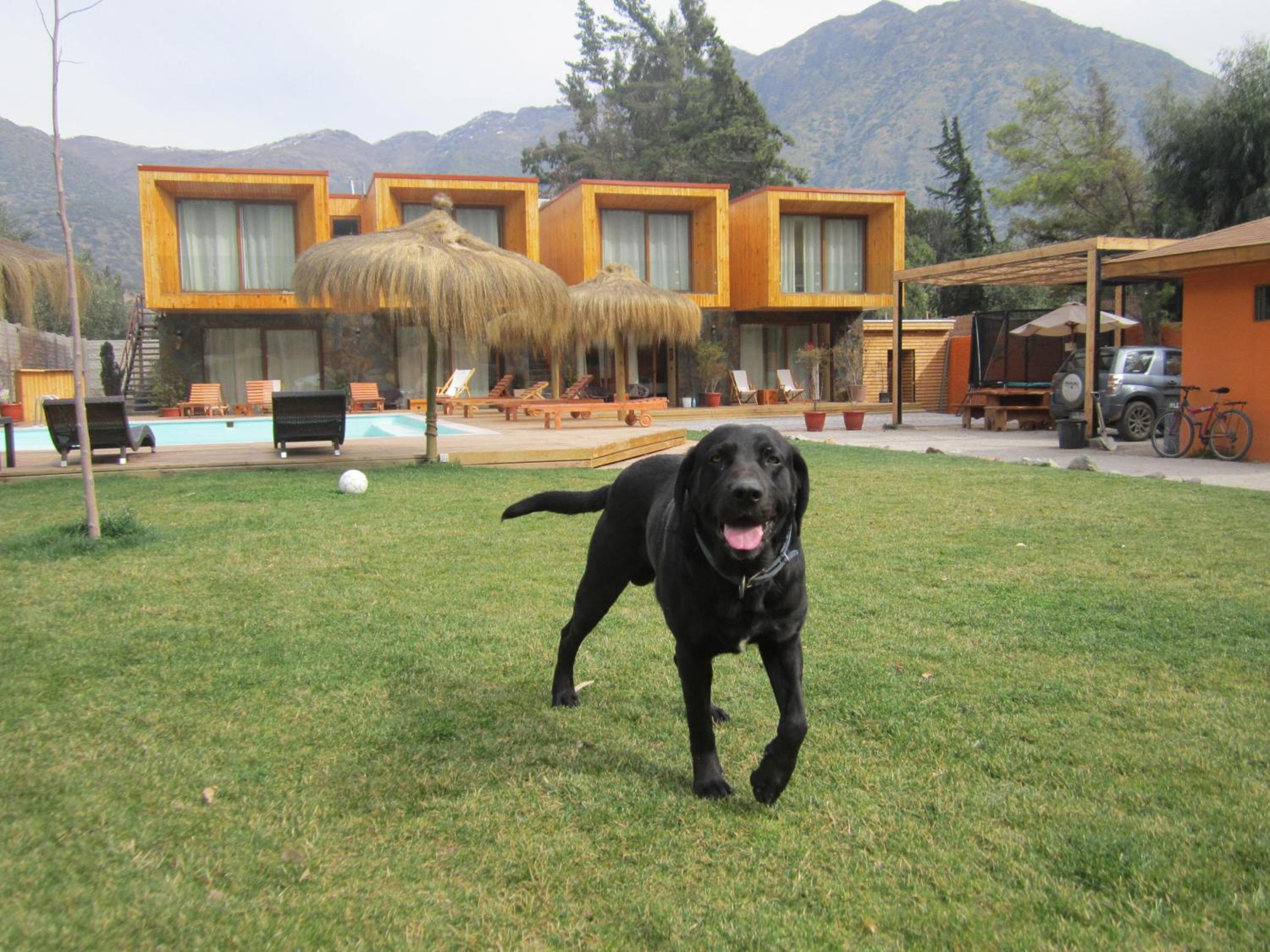 Cajón del Maipo Lodge