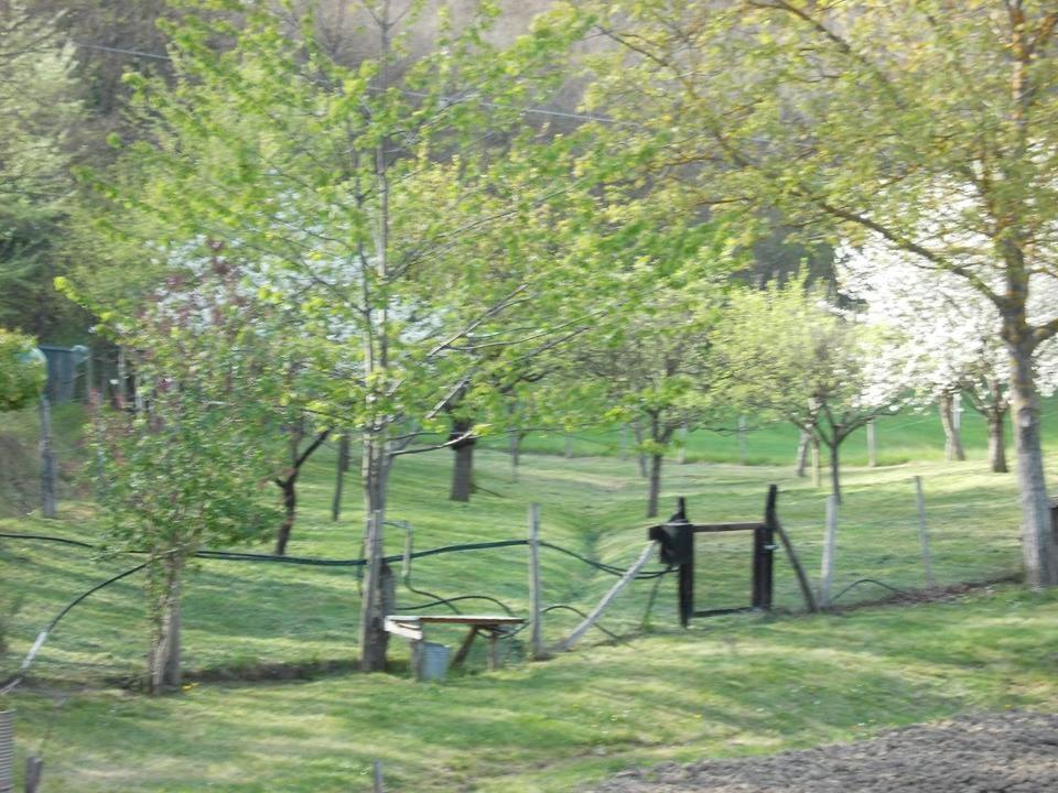 Casa Molinari