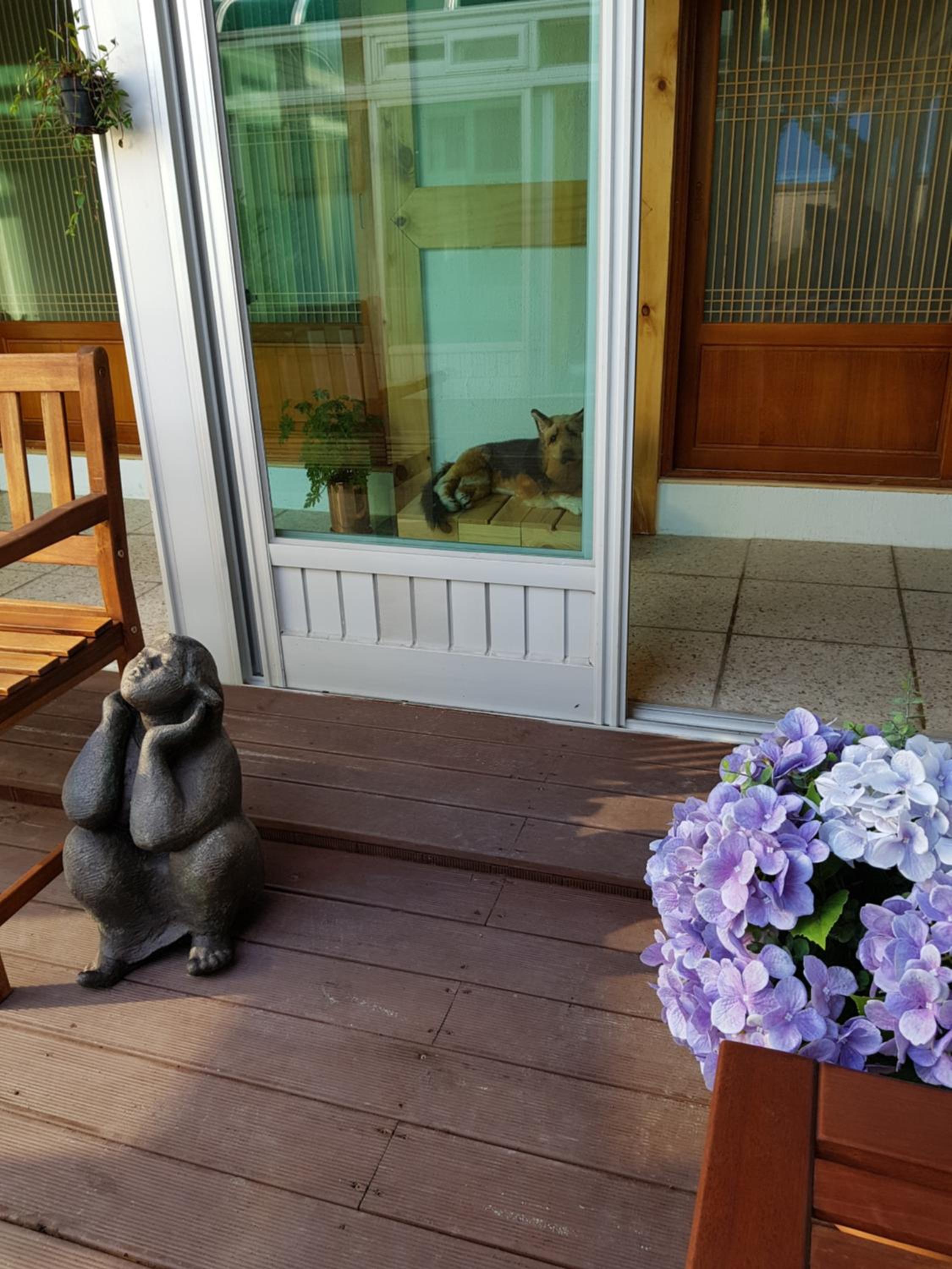 Dal Garam Guesthouse - 외국인 전용