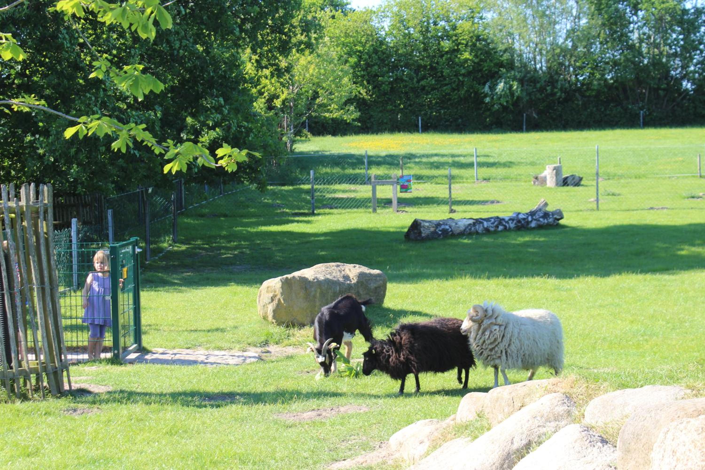 OSTSEEferien am BARFUSSpark