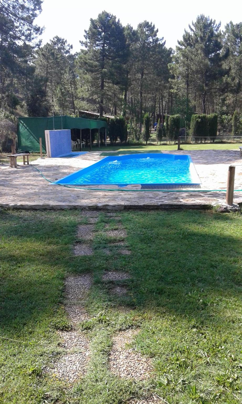 Photo 46