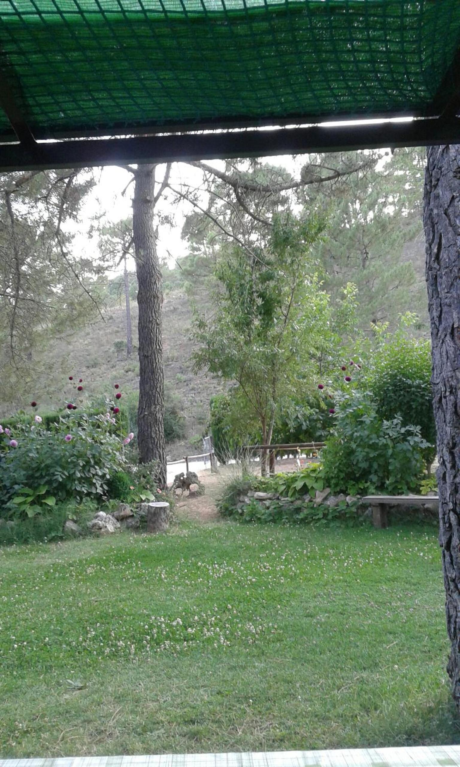 other