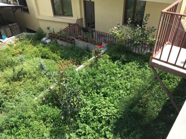 GuestHouse M22