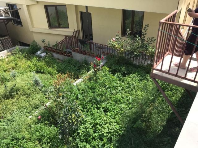 GuestHouse M22