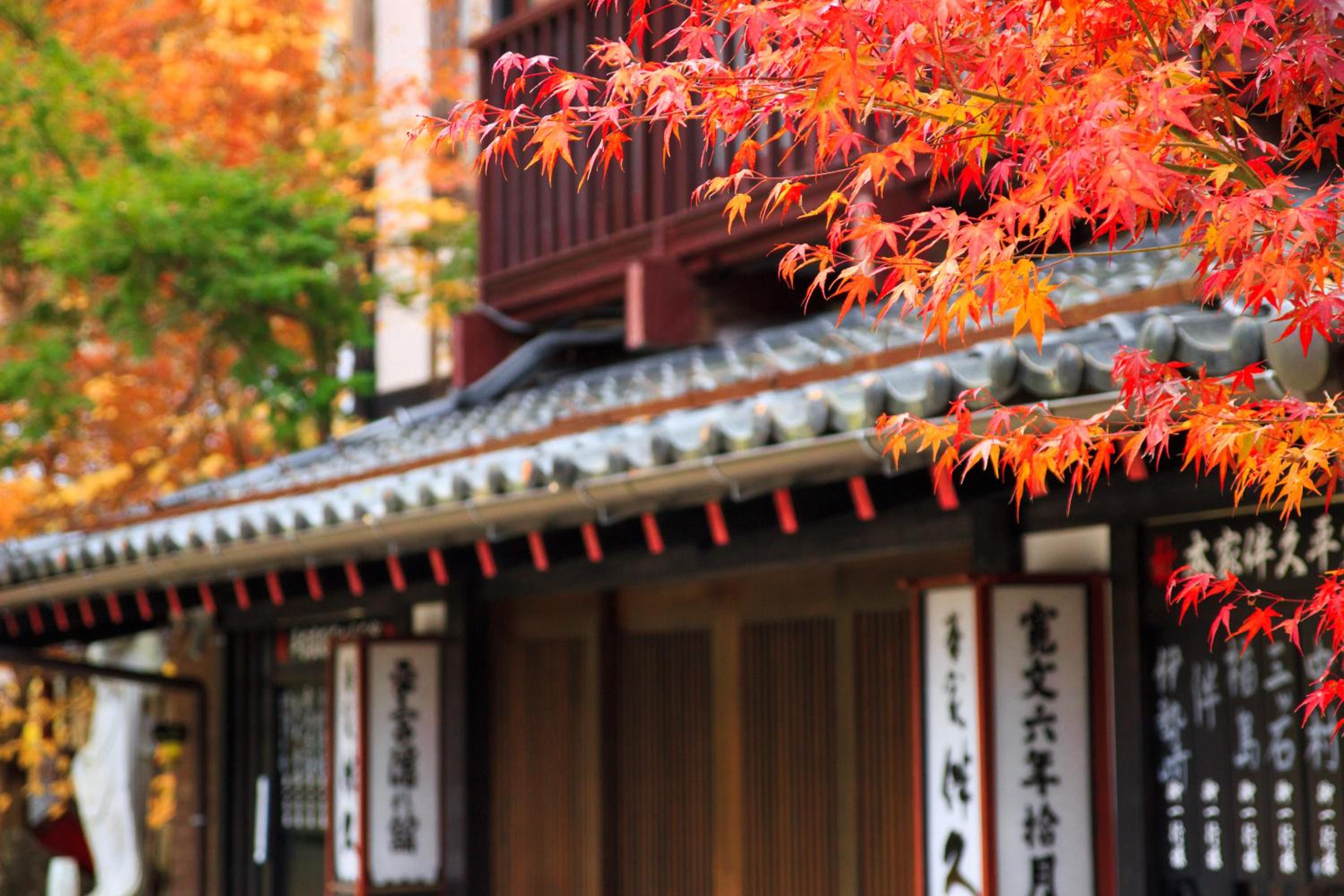 Honke Bankyu