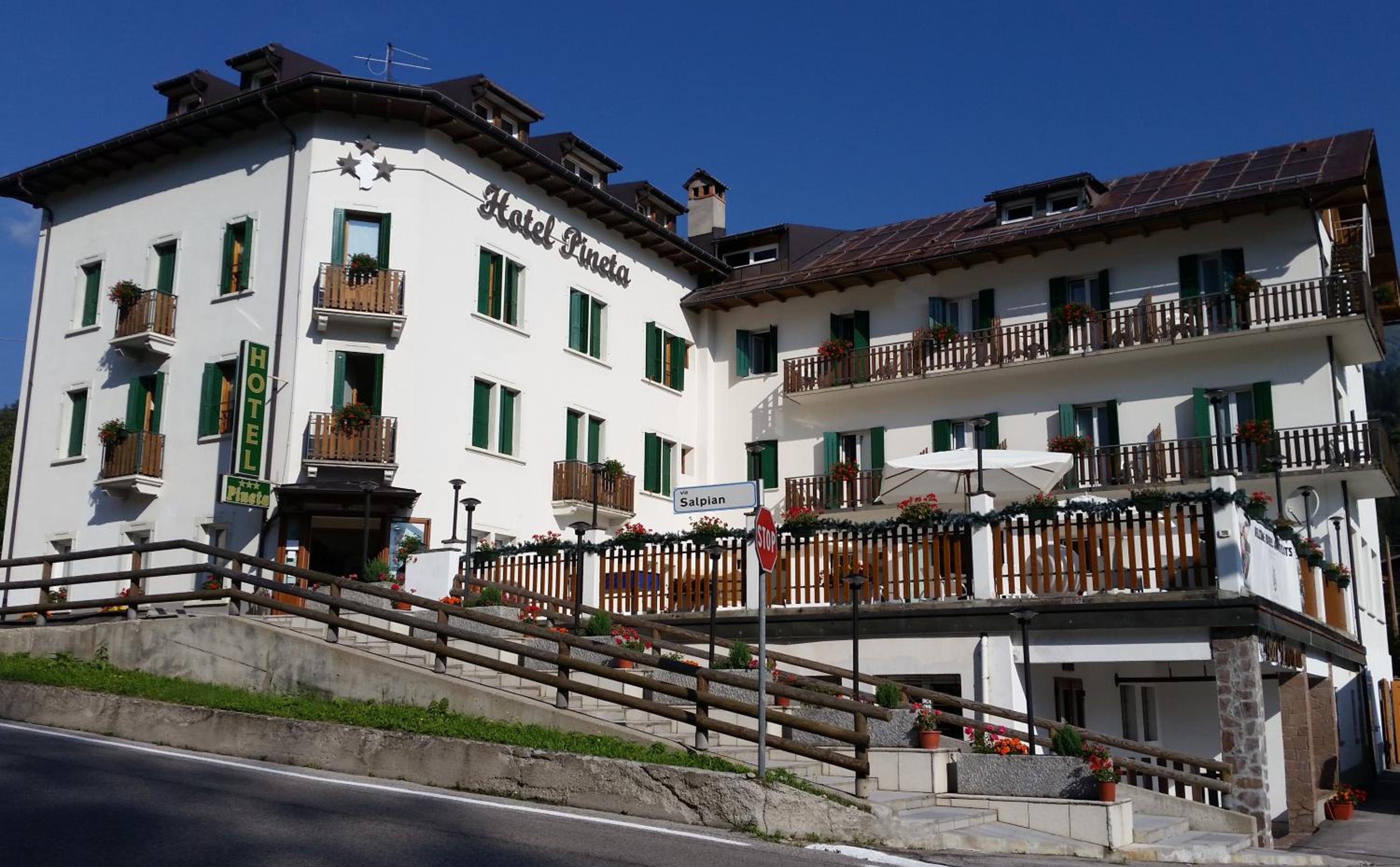 Hotel Pineta - Image 1