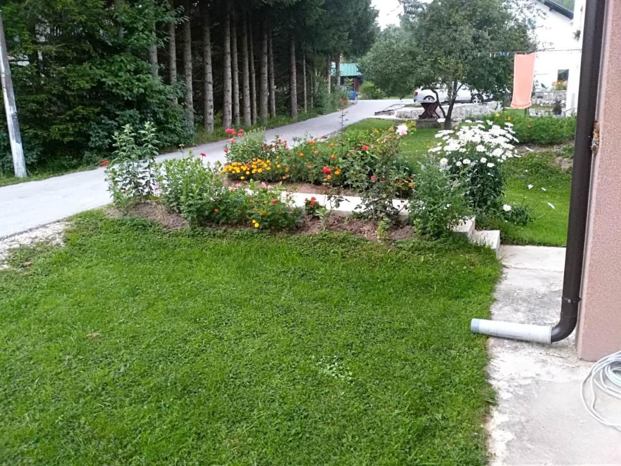 apartment jankovic view 2