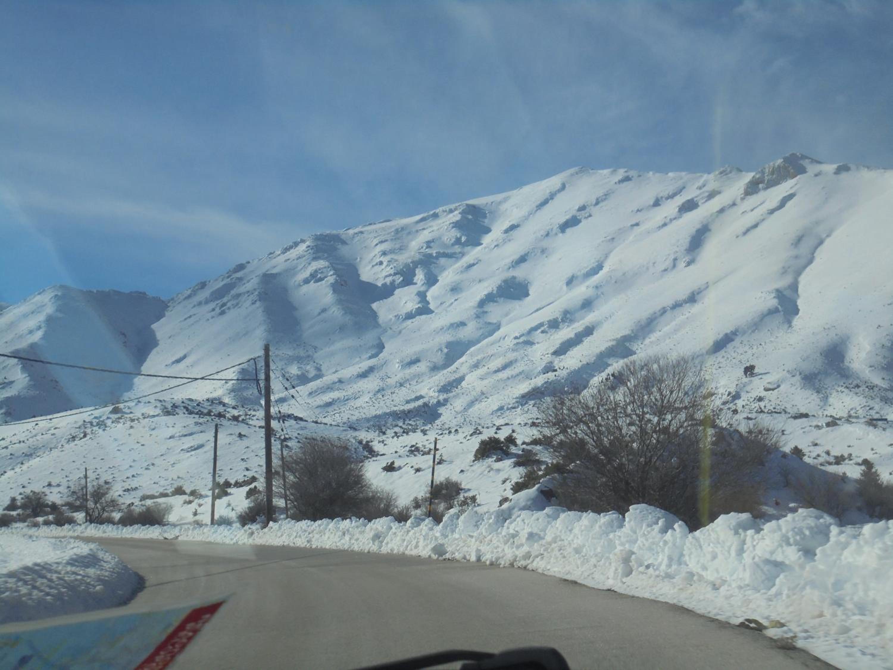 Photo 43