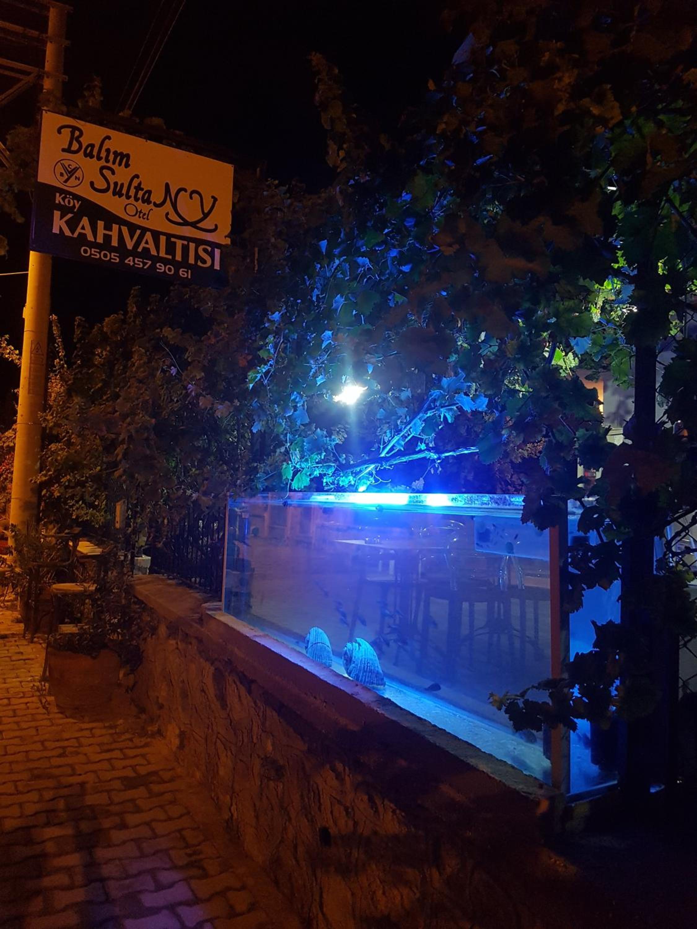 Balim Sultany - Image 42